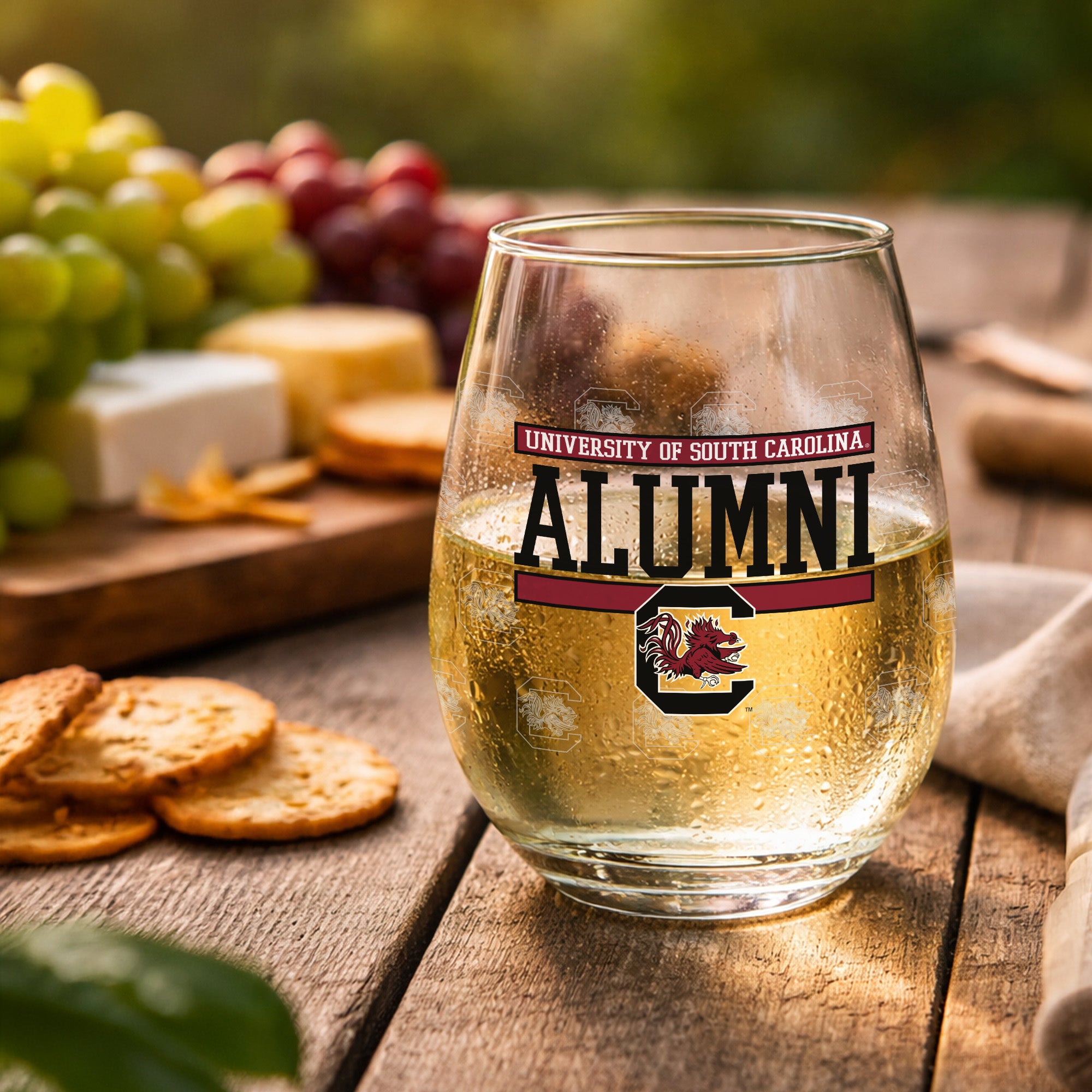 Set of 2 South Carolina Gamecocks Alumni 15oz Stemless