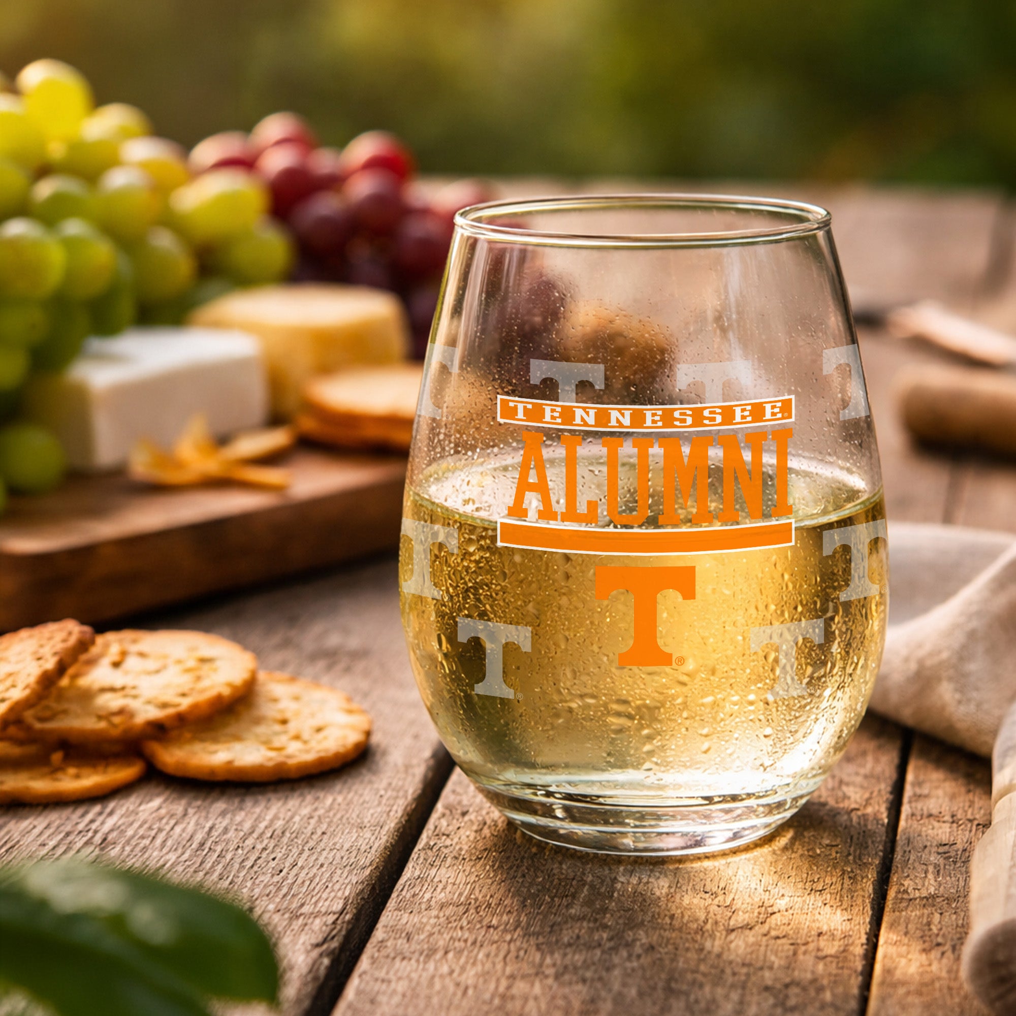 Set of 2 Tennessee Volunteers Alumni 15oz Stemless