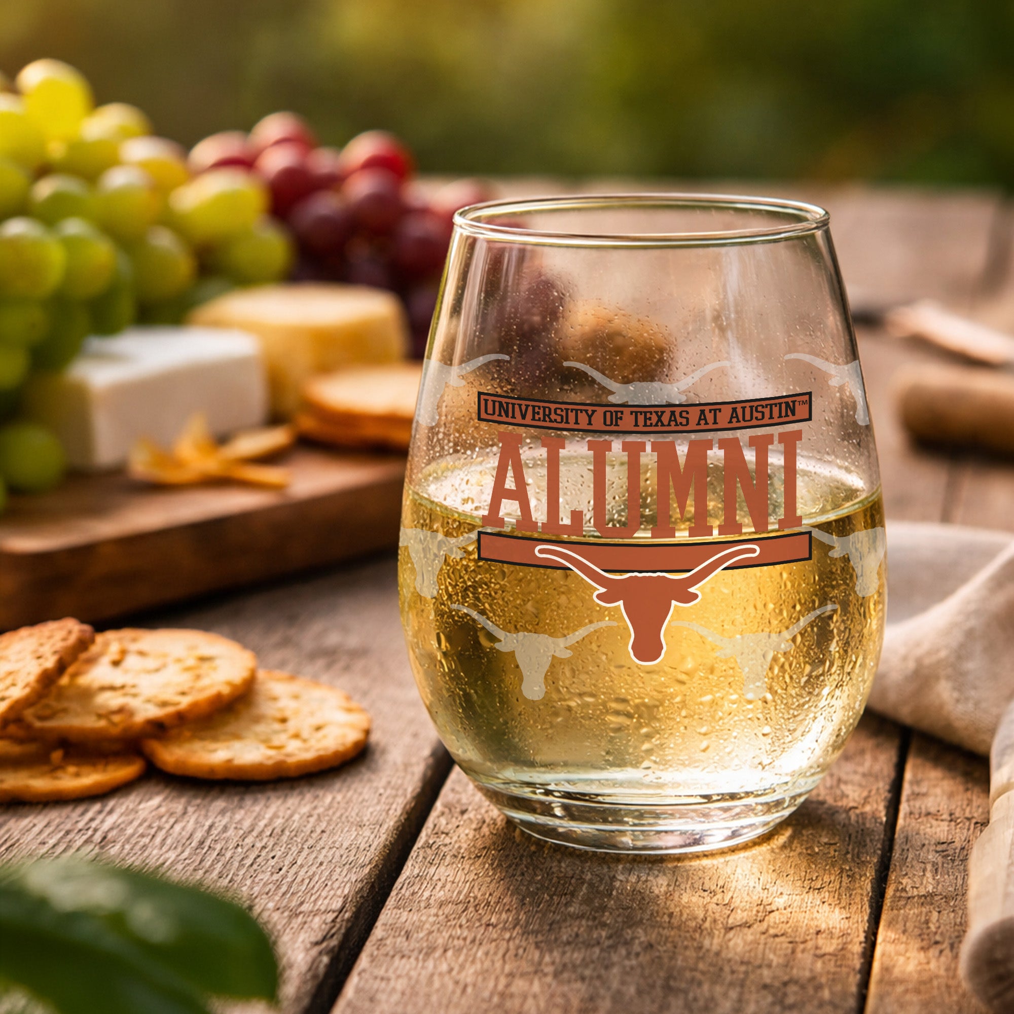 Set of 2 Texas Longhorns Alumni 15oz Stemless