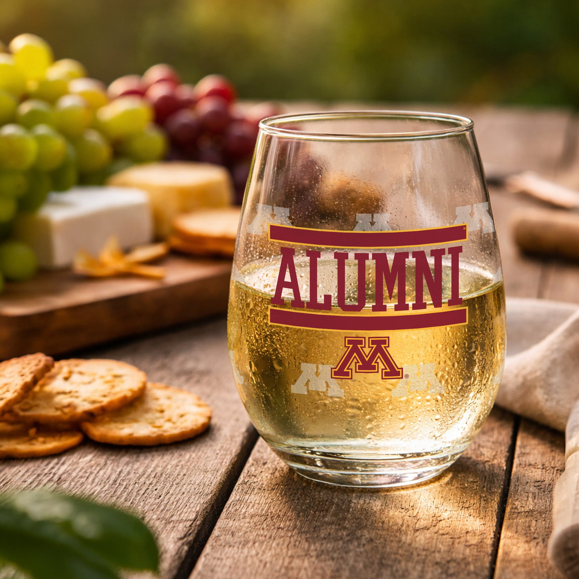 Set of 2 Minnesota Golden Gophers Alumni 15oz Stemless