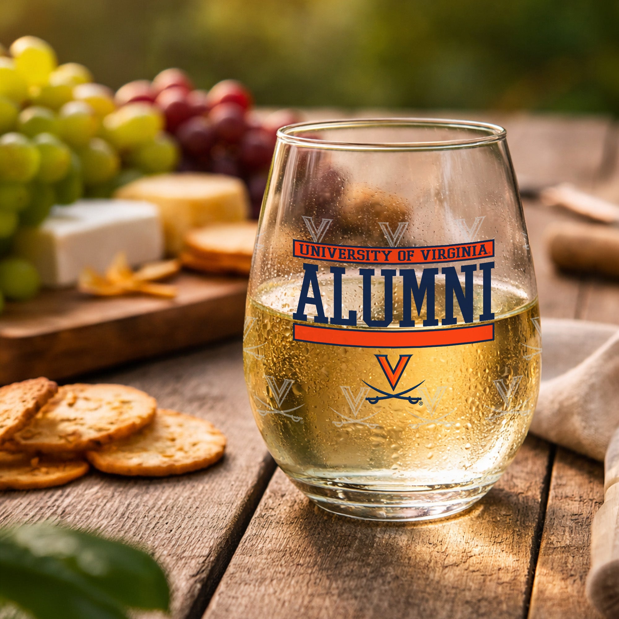 Set of 2 Virginia Cavaliers Alumni 15oz Stemless