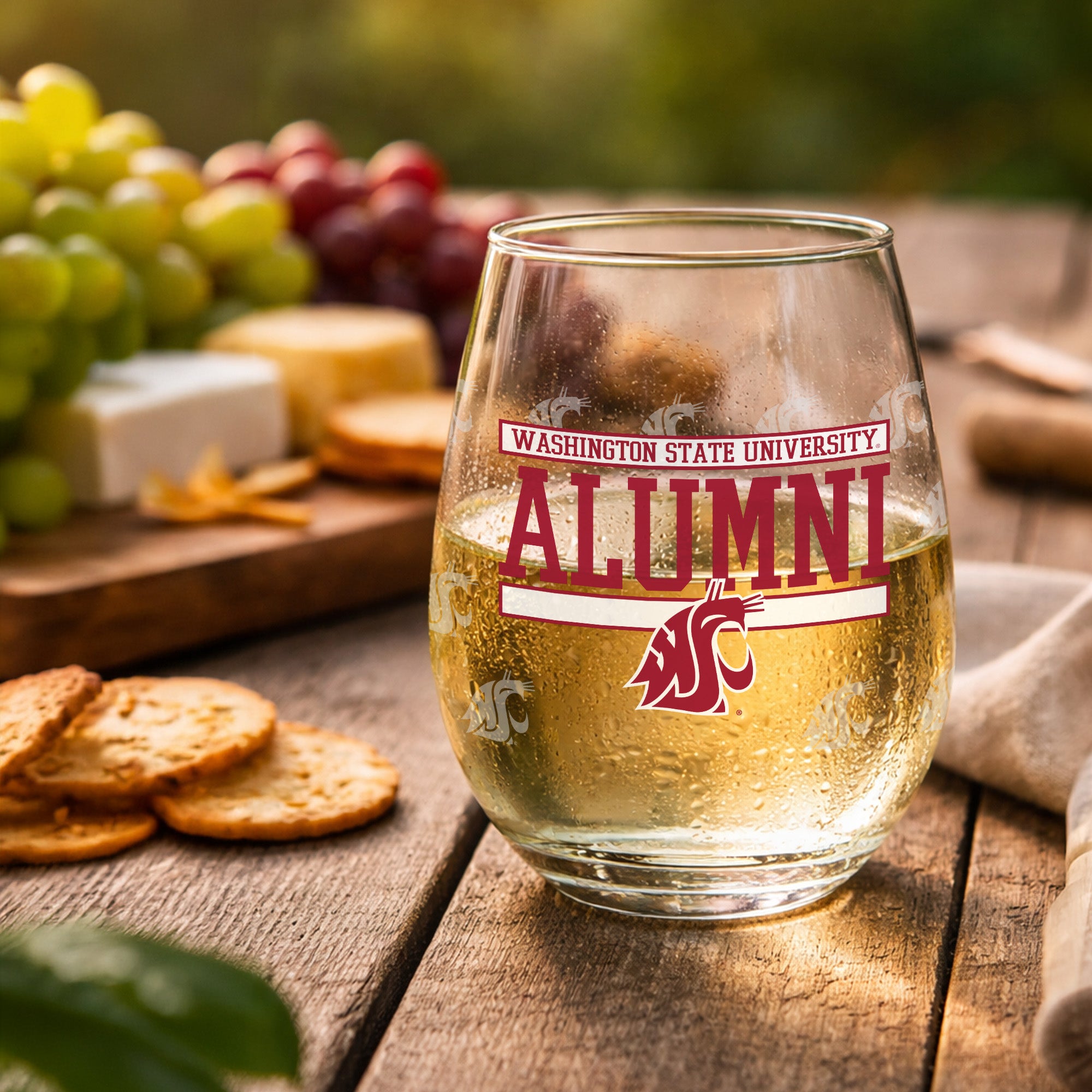 Set of 2 Washington State Cougars Alumni 15oz Stemless