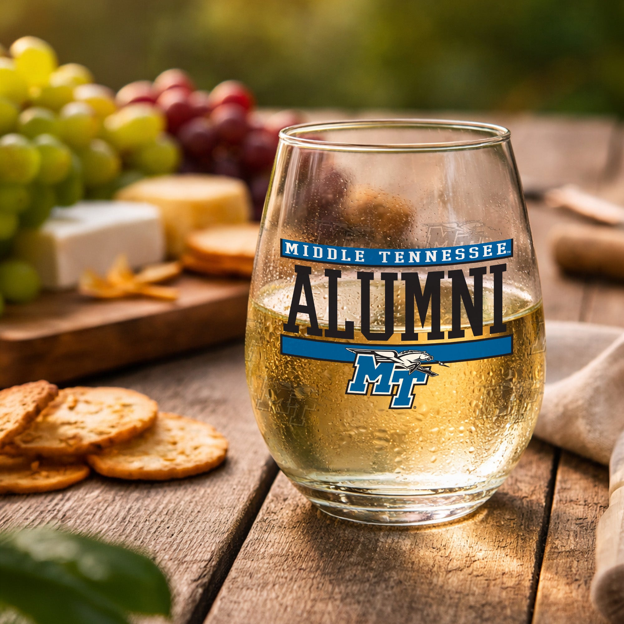 Set of 2 Middle Tennessee Blue Raiders Alumni 15oz Stemless