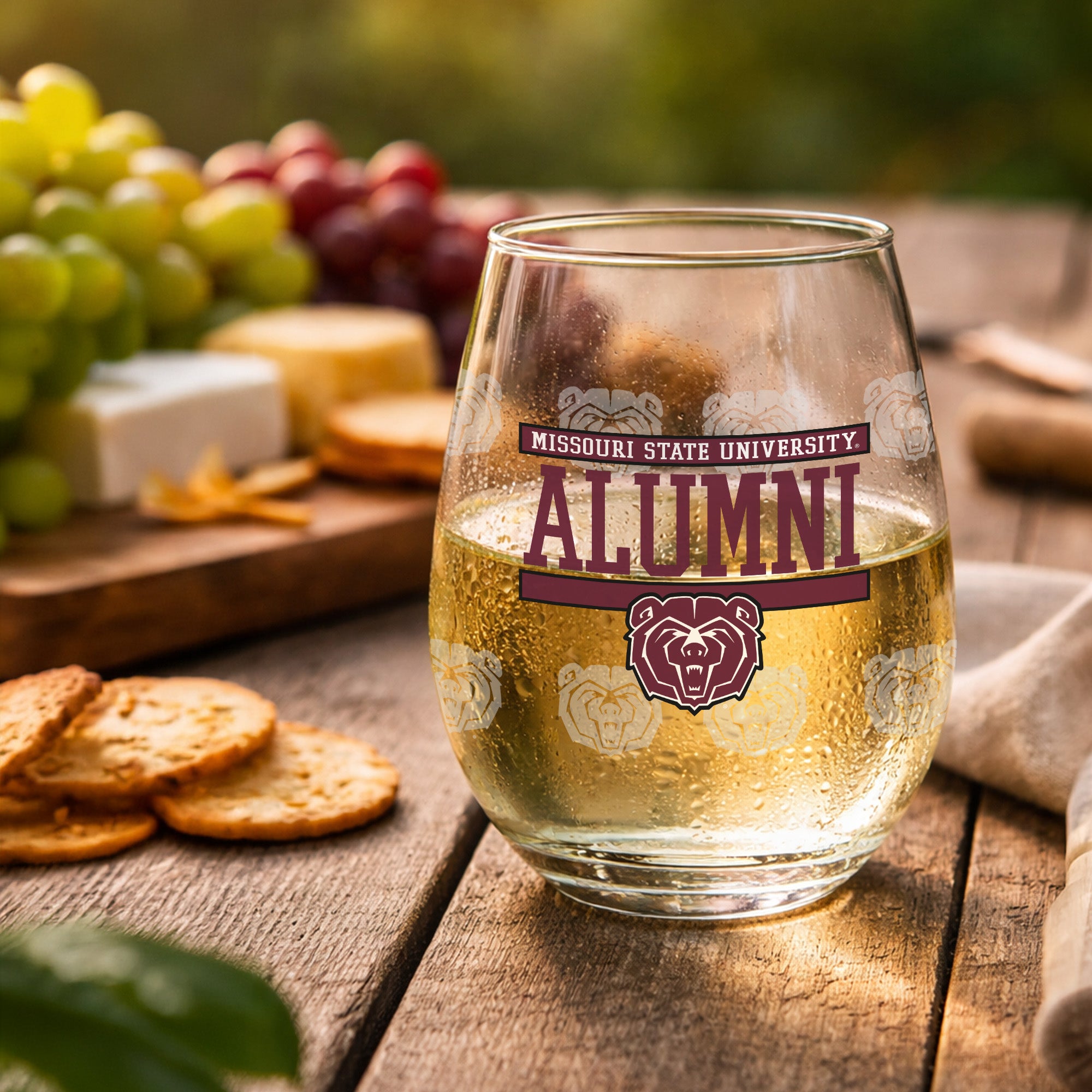 Set of 2 Missouri State Bears Alumni 15oz Stemless