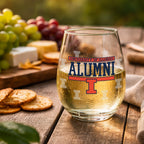 Set of 2 Illinois Fighting Illini Alumni 15oz Stemless