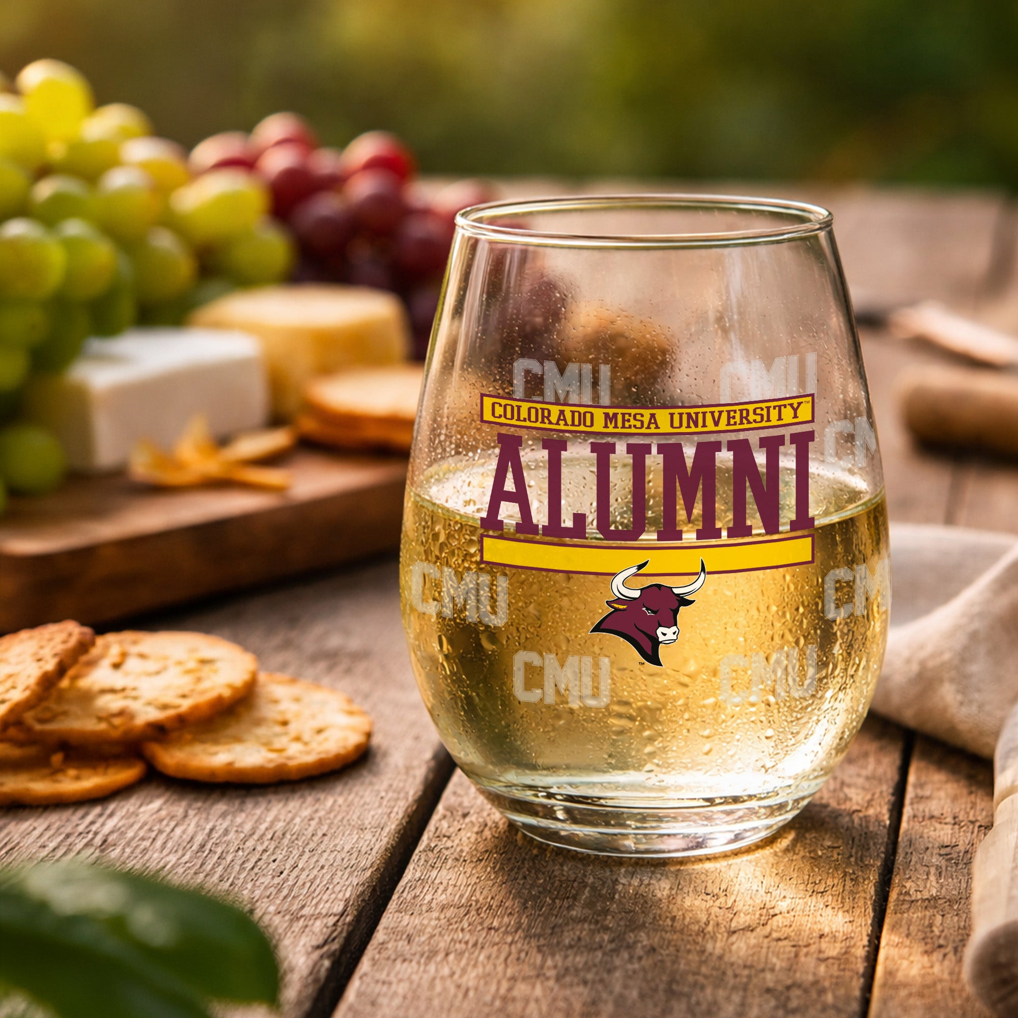 Set of 2 Colorado Mesa Mavericks Alumni 15oz Stemless