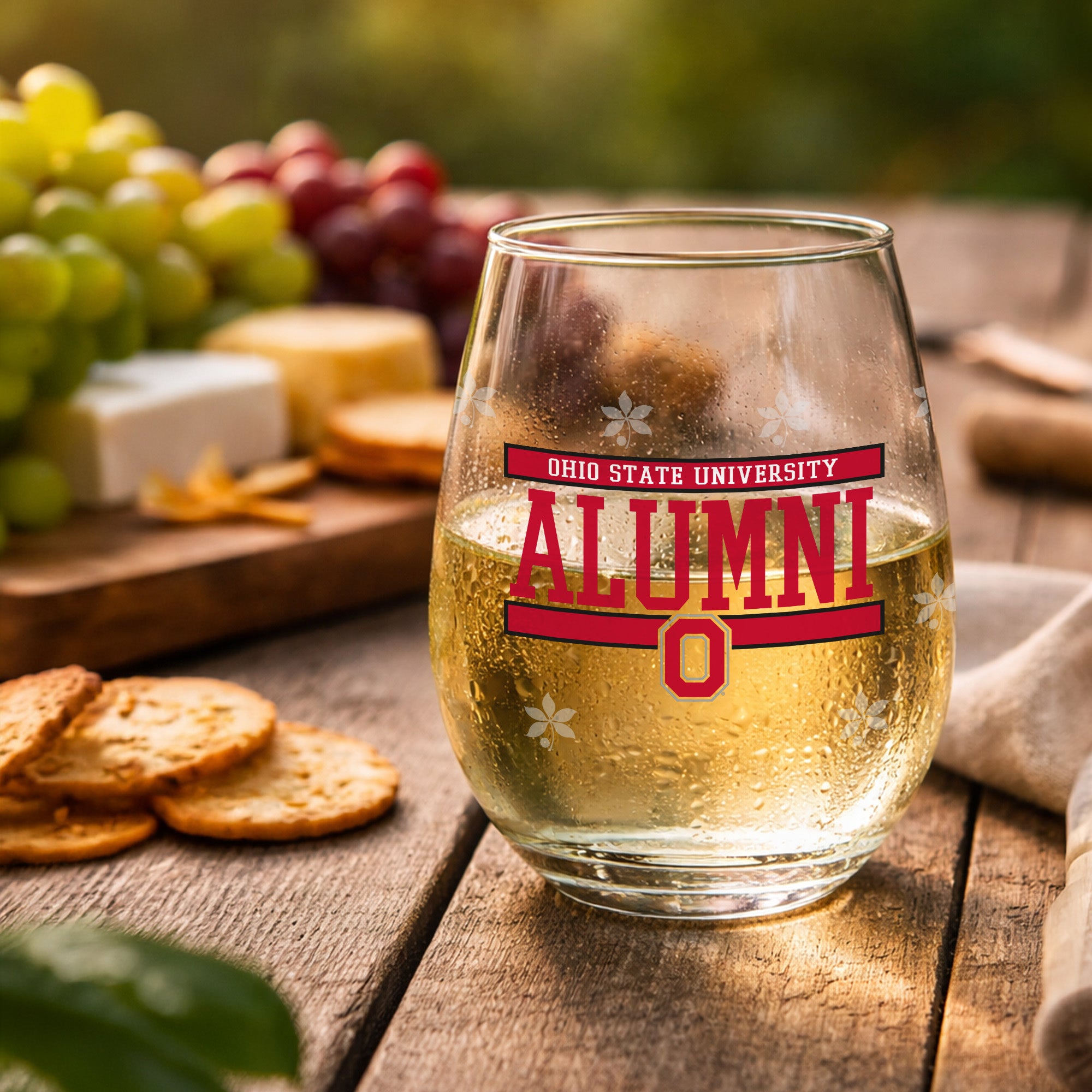 Set of 2 Ohio State Buckeyes Alumni 15oz Stemless