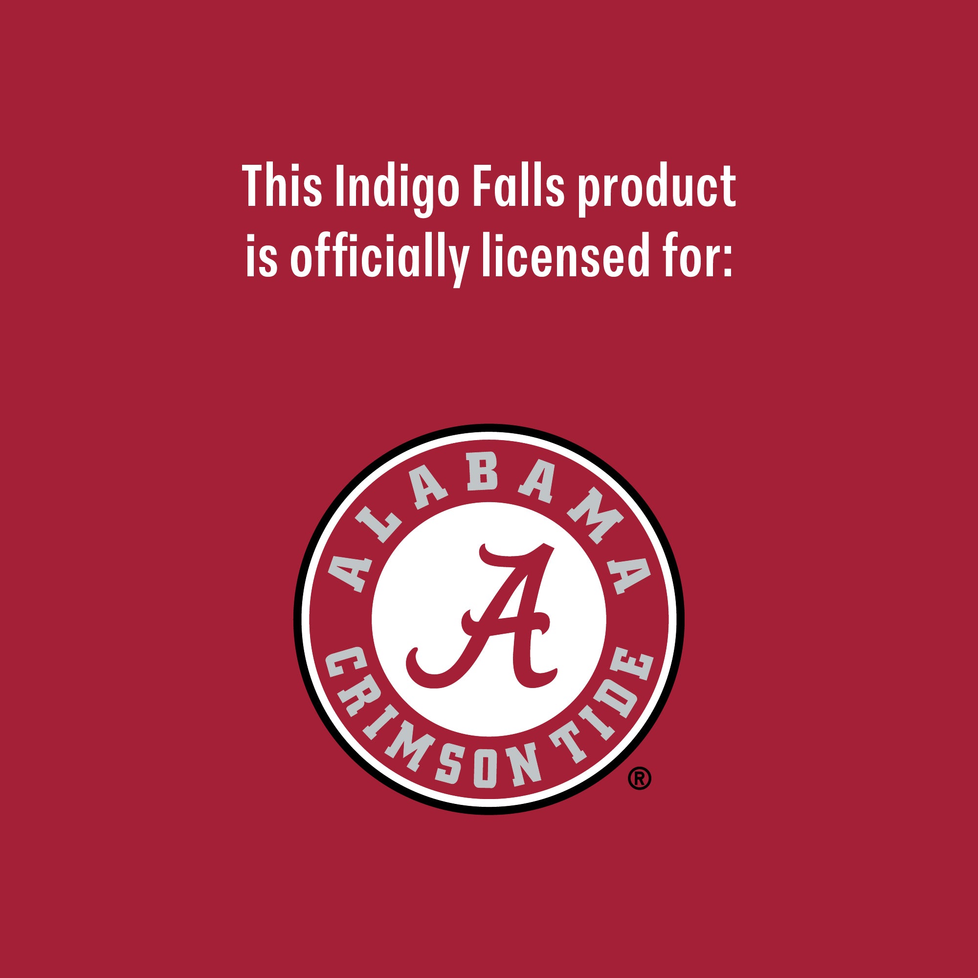 Set of 2 Alabama Crimson Tide College Vault Sketch 14oz Rocks Glasses
