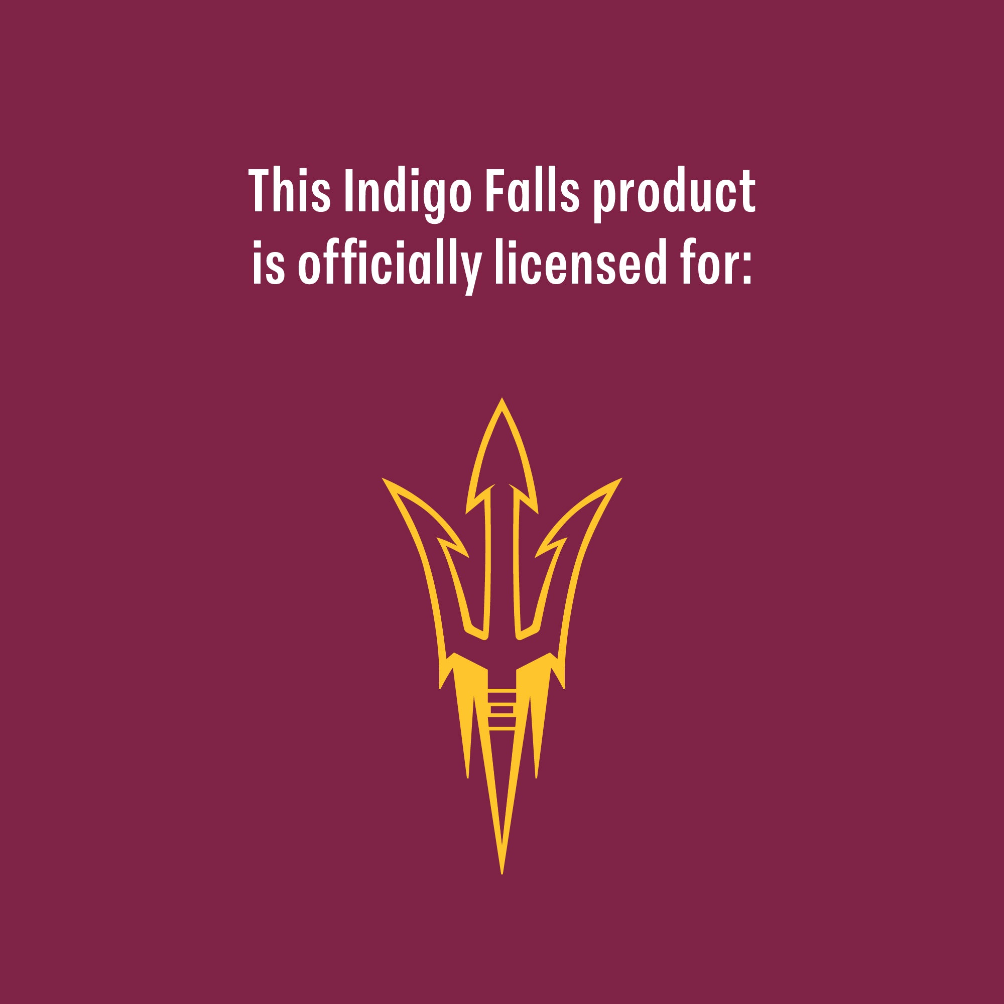 Set of 2 Arizona State Sun Devils College Vault Sketch 14oz Rocks Glasses
