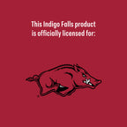 Set of 2 Arkansas Razorbacks College Vault Sketch 16oz Pints