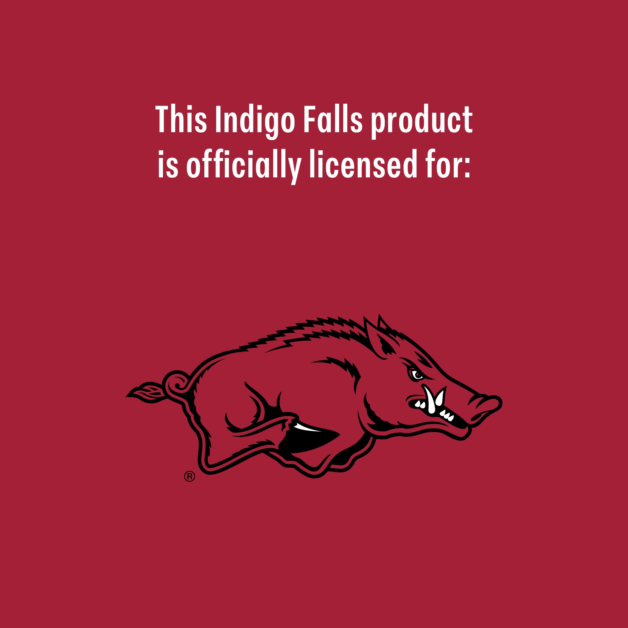 Set of 2 Arkansas Razorbacks College Vault Sketch 14oz Rocks Glasses