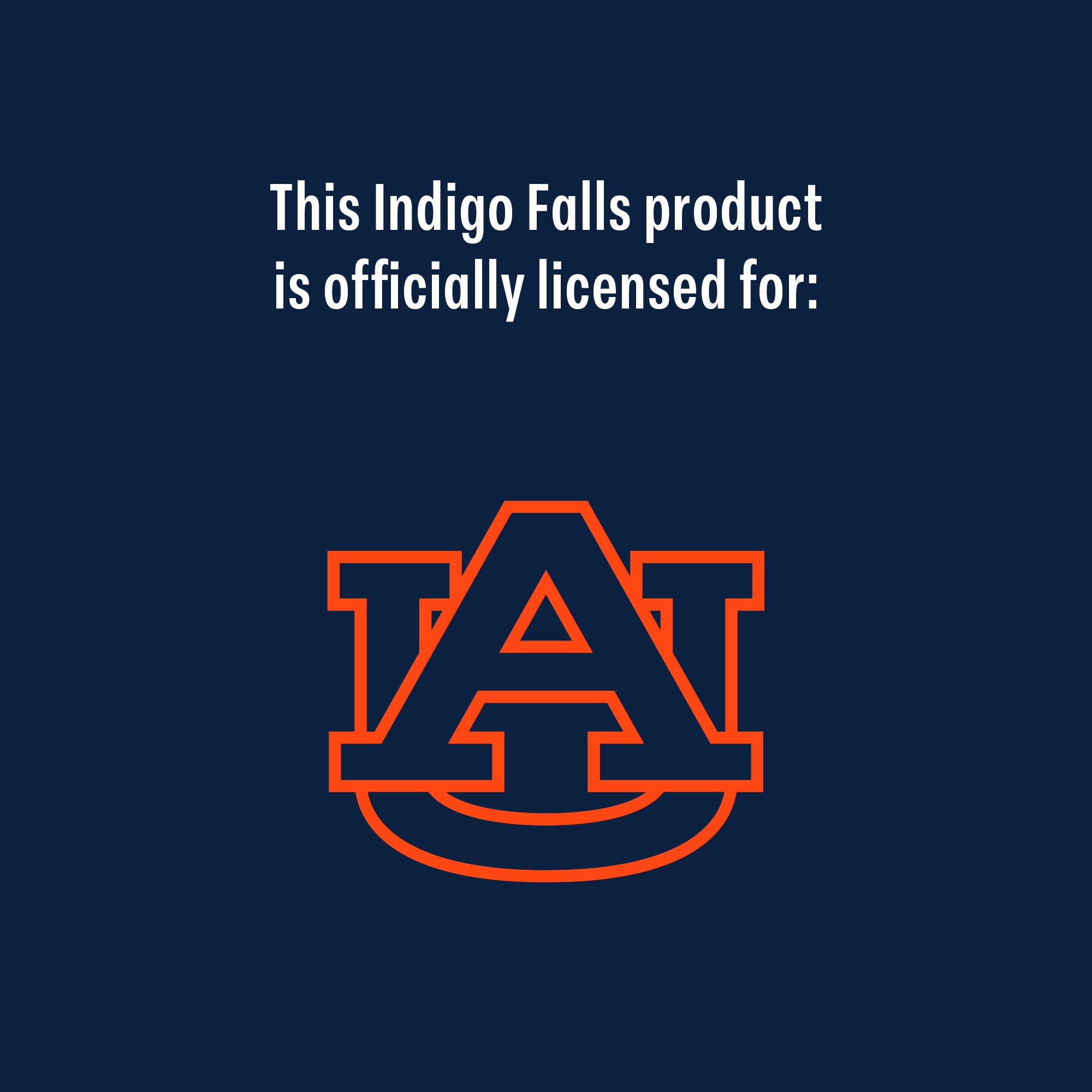 Set of 2 Auburn Tigers College Vault Sketch 14oz Rocks Glasses