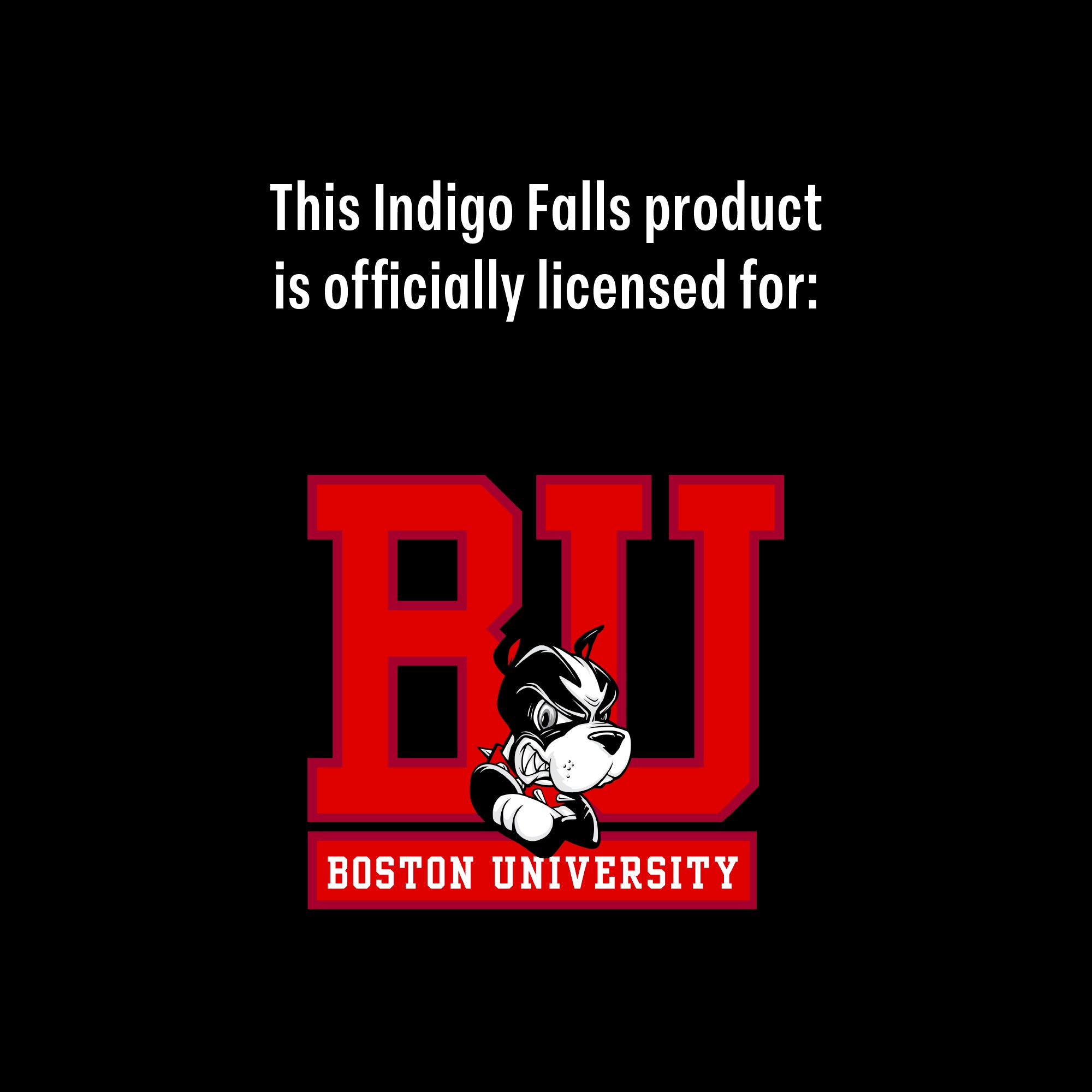 Set of 2 Boston University 16oz Hockey Pints