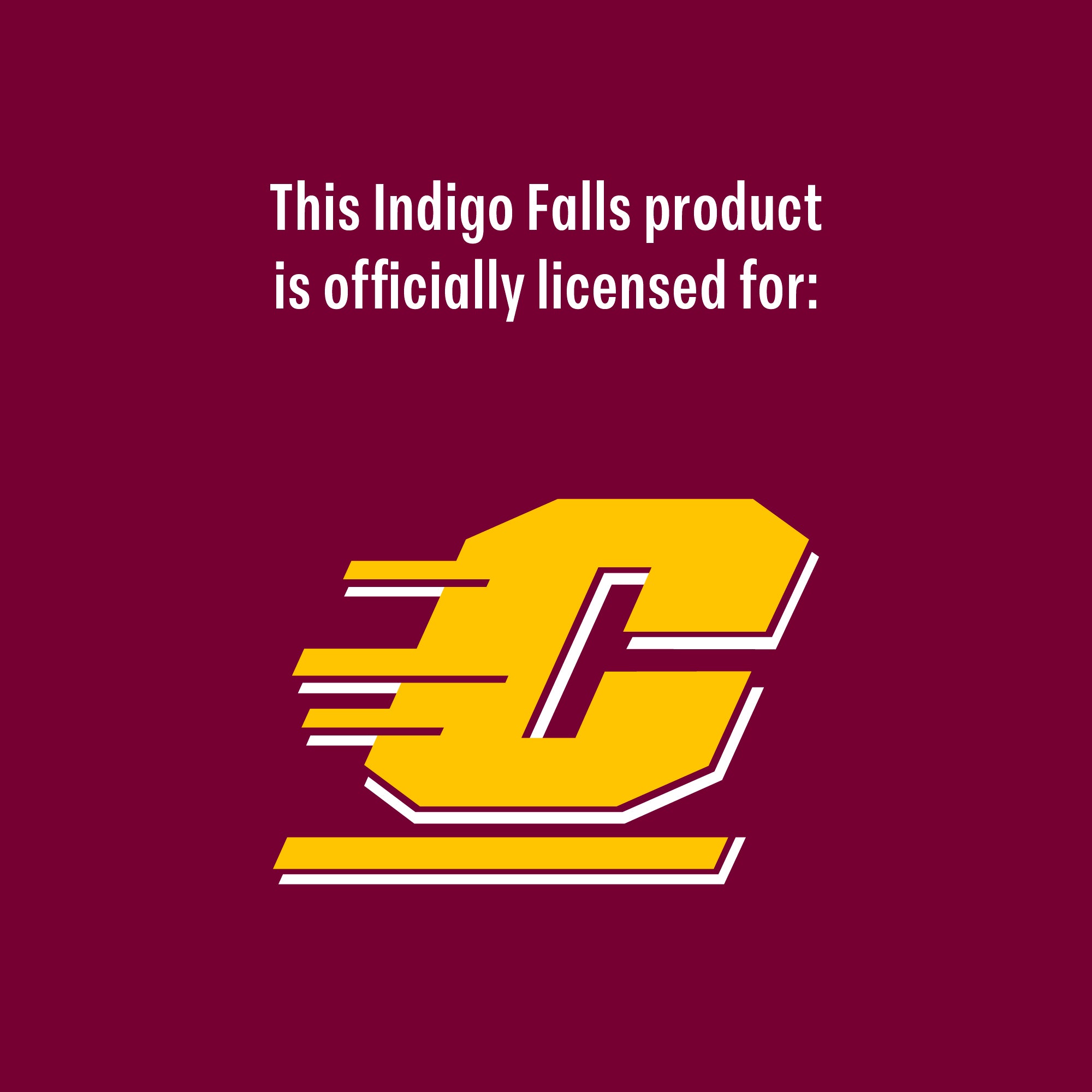 36oz with handle Central Michigan Chippewas Combo Tumbler