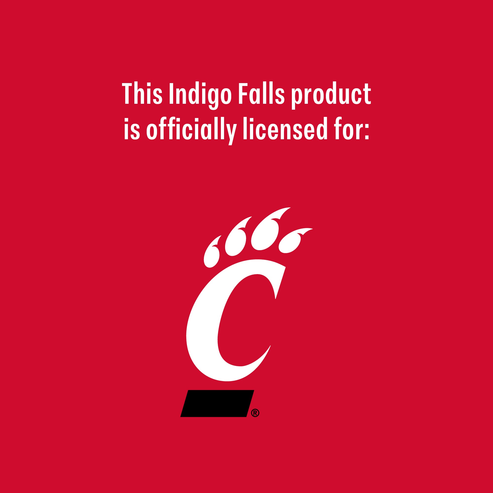 Set of 2 Cincinnati Bearcats College Vault Sketch 14oz Rocks Glasses