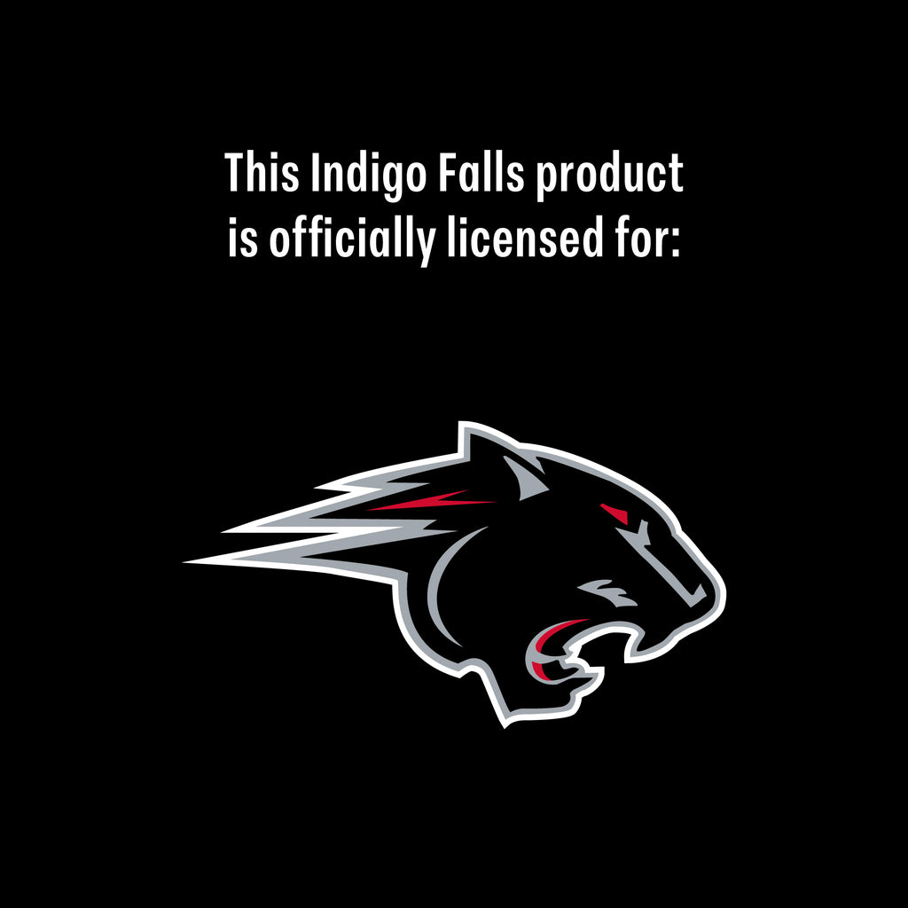 Set of 2 Clark Atlanta Panthers 16oz XD Alumni Pints