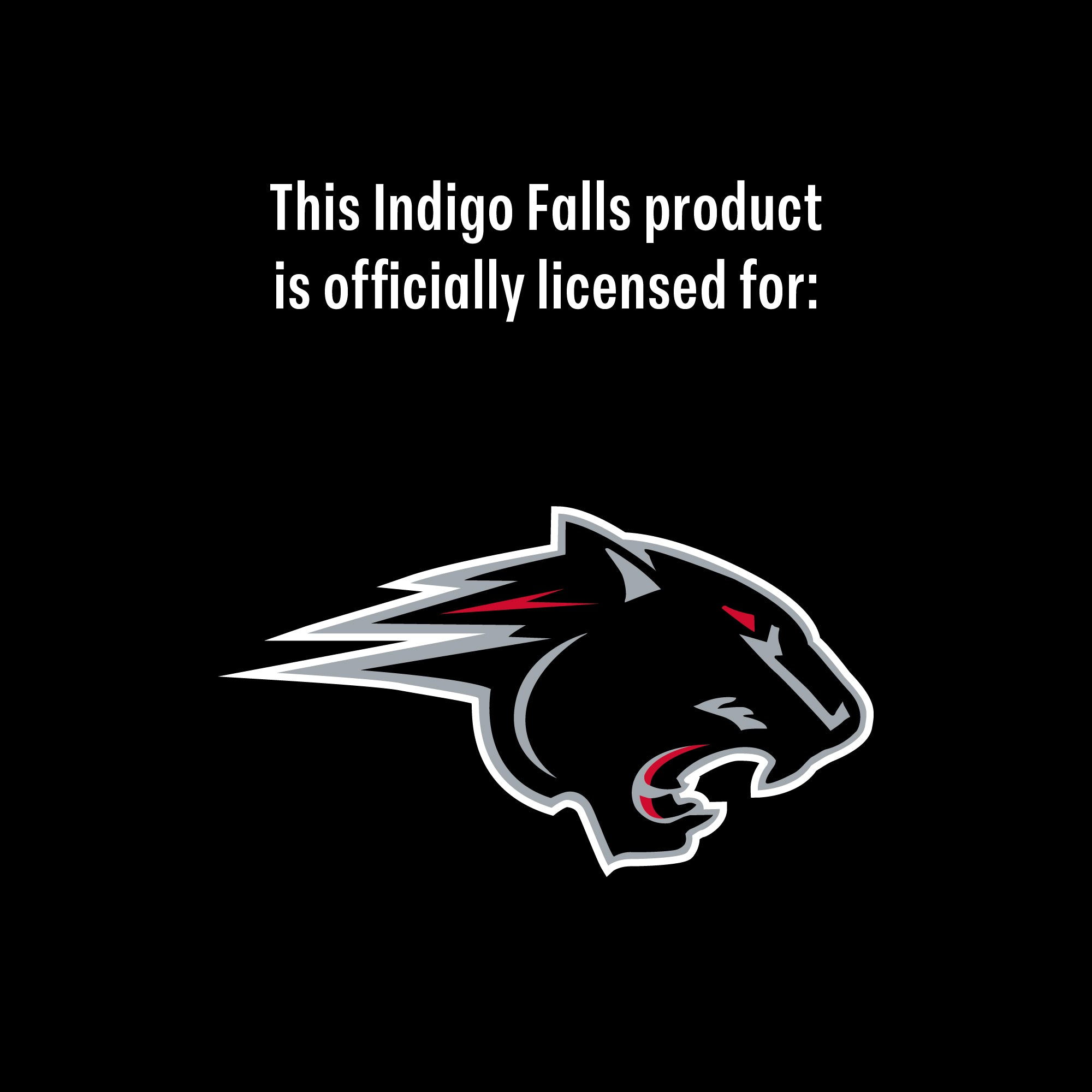 24oz Clark Atlanta Panthers Alumni Tumbler