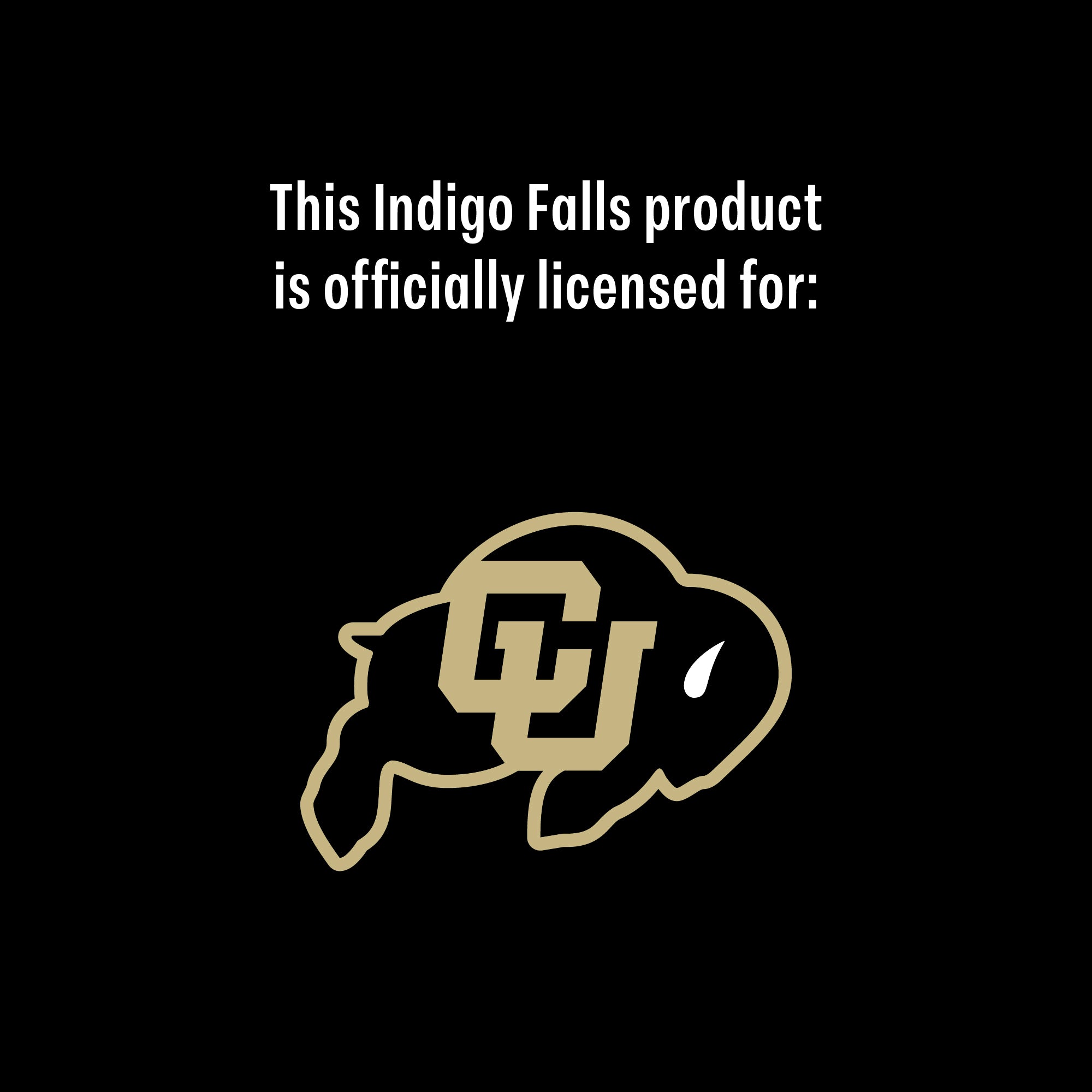 Set of 2 Colorado Buffaloes College Vault Sketch 14oz Rocks Glasses