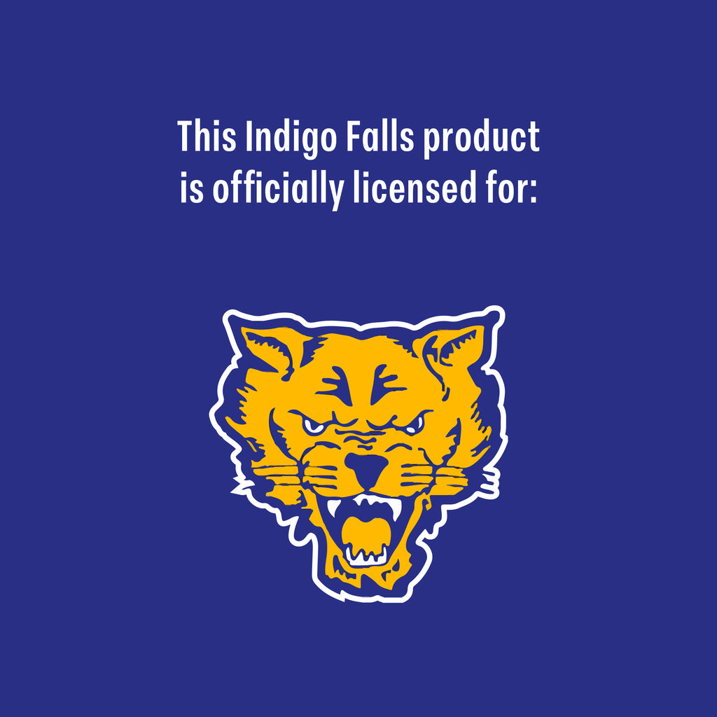 Set of 2 Fort Valley State Wildcats 16oz XD Alumni Pints