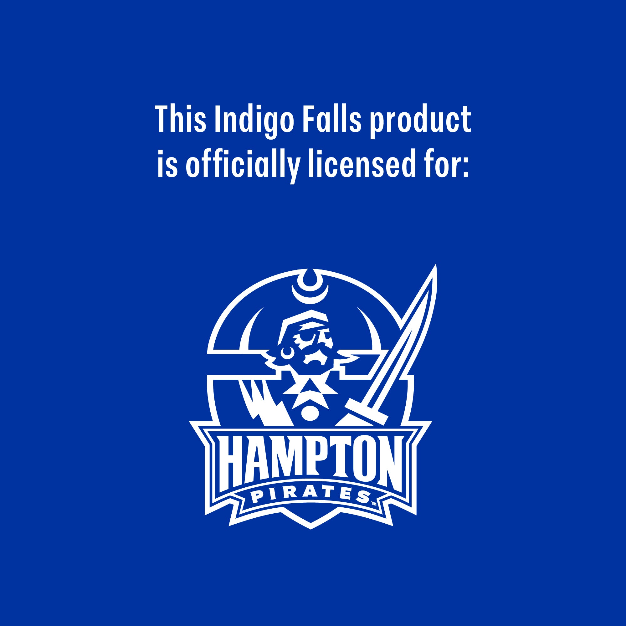 24oz Hampton Pirates Alumni Tumbler