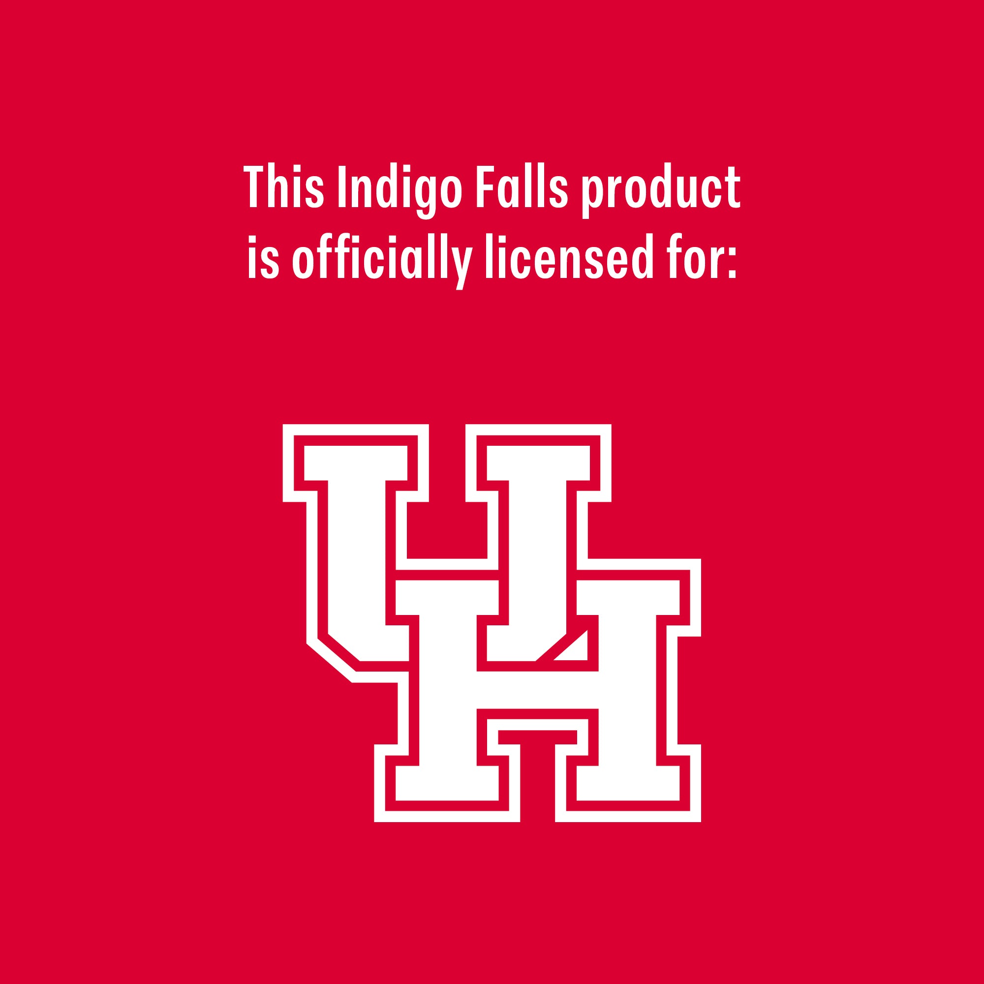 Set of 2 Houston Cougars College Vault Sketch 14oz Rocks Glasses