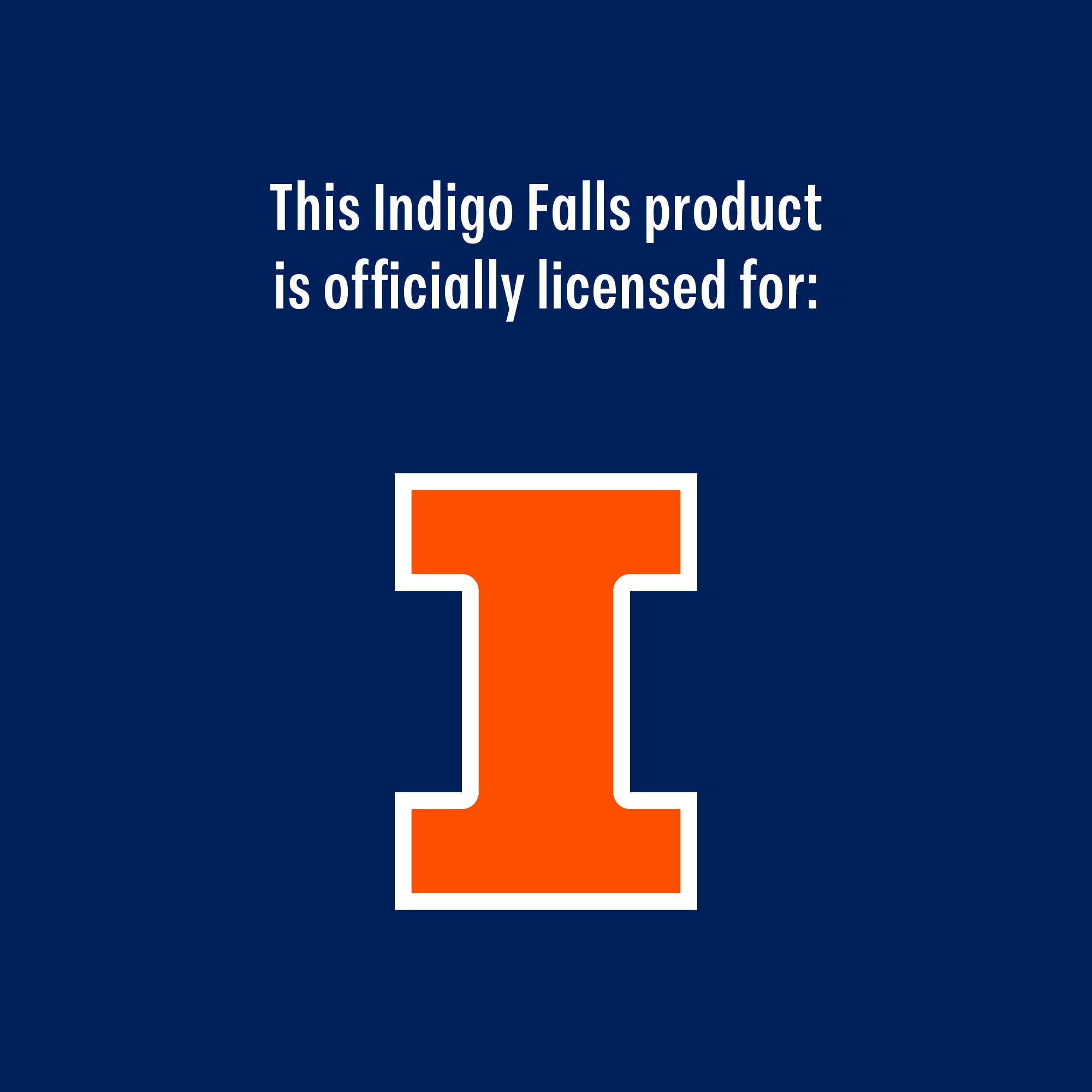 Set of 2 Illinois Fighting Illini College Vault Sketch 14oz Rocks Glasses