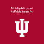 Set of 2 Indiana Hoosiers College Vault Sketch 16oz Pints