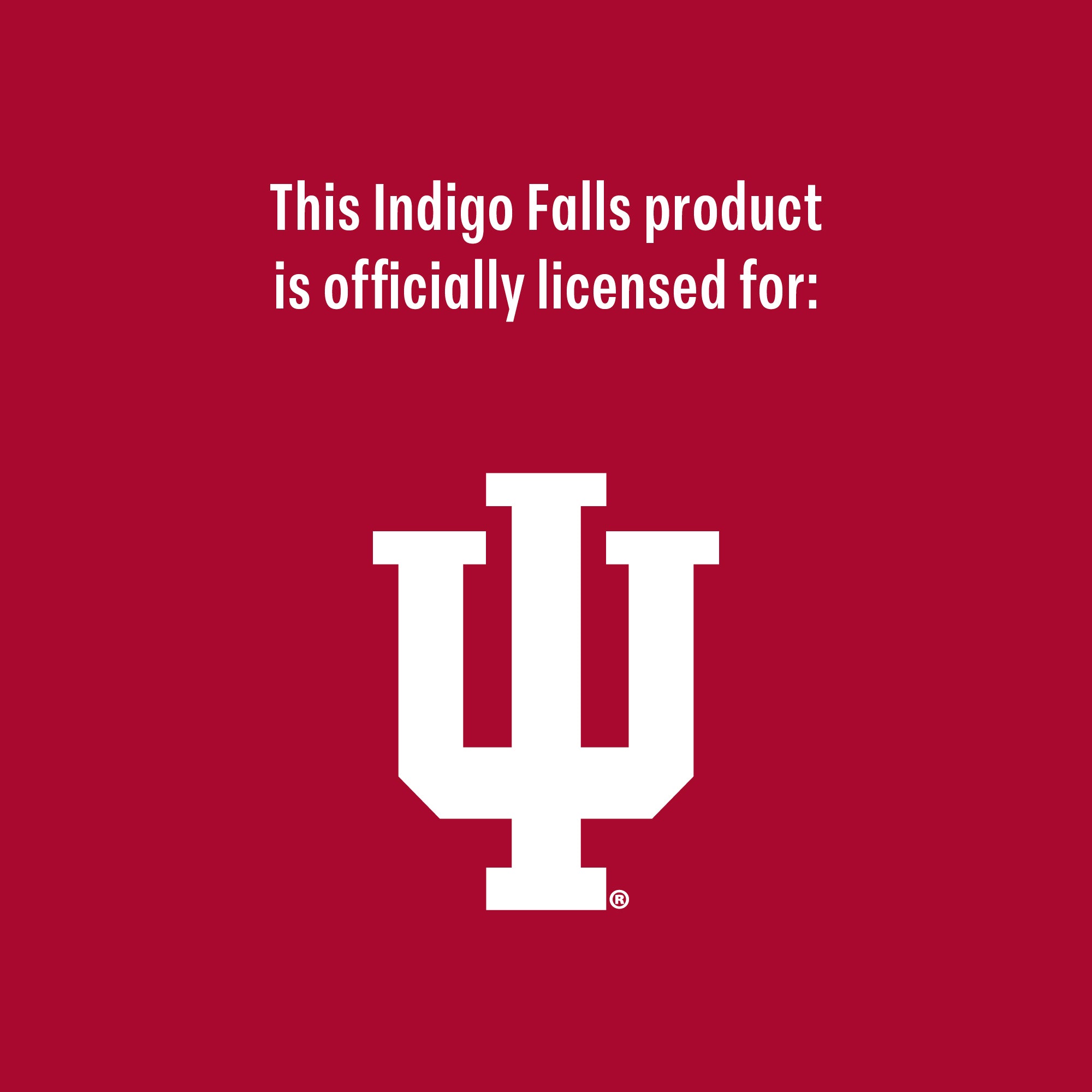 Set of 2 Indiana Hoosiers College Vault Sketch 14oz Rocks Glasses