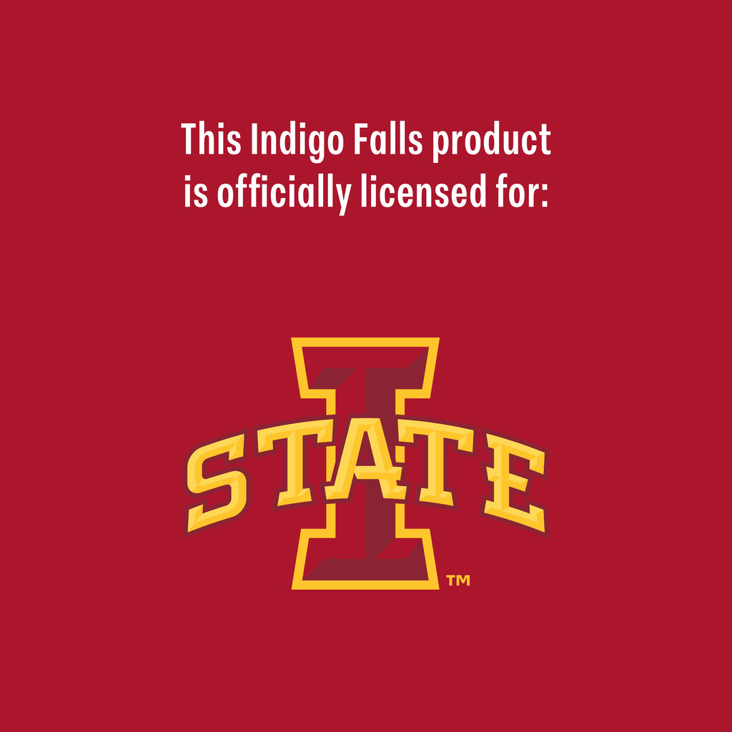 Set of 2 Iowa State Cyclones College Vault Sketch 14oz Rocks Glasses