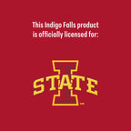 Set of 2 Iowa State Cyclones College Vault Sketch 14oz Rocks Glasses