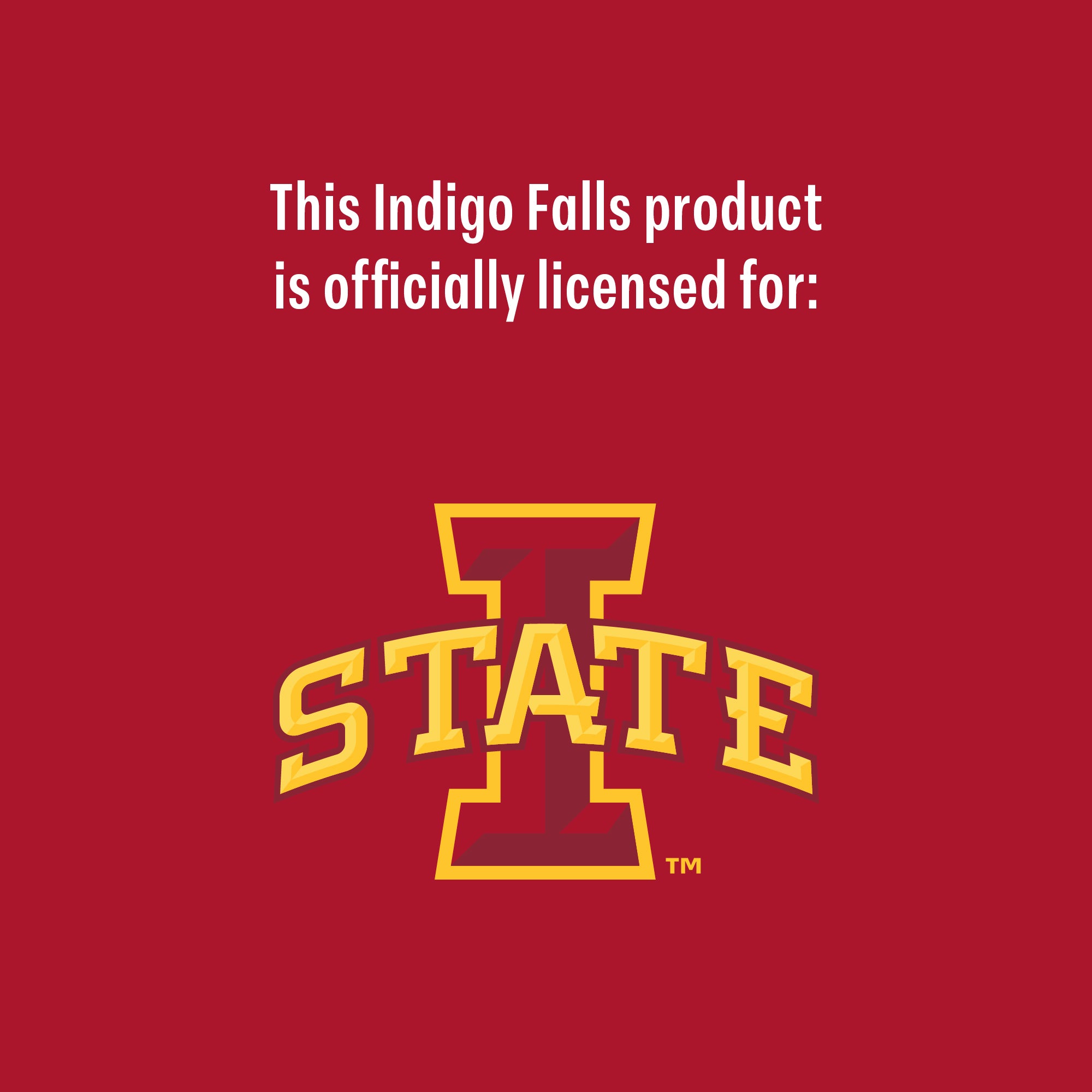 Set of 2 Iowa State Cyclones College Vault Sketch 14oz Rocks Glasses