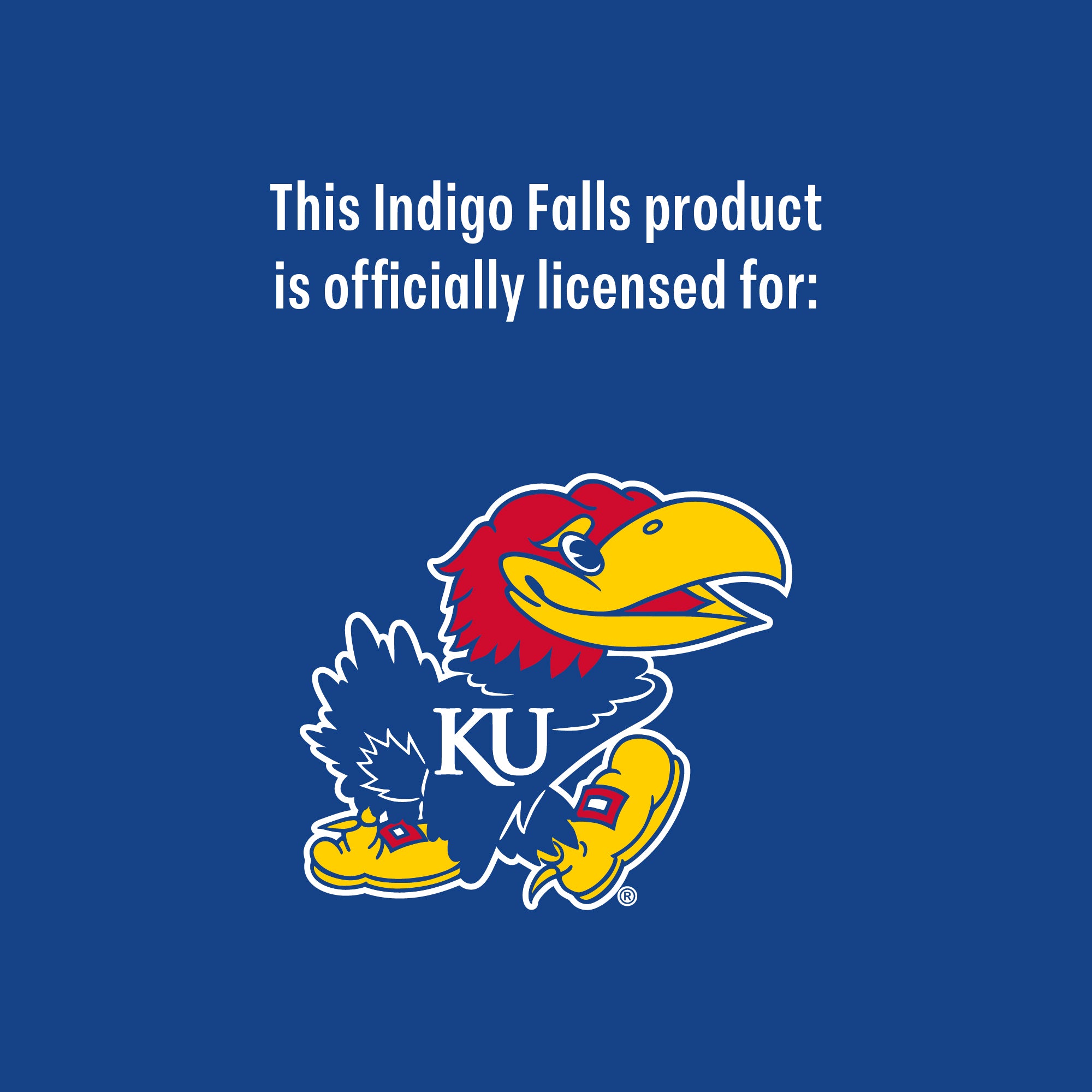 Set of 2 Kansas Jayhawks College Vault Sketch 14oz Rocks Glasses