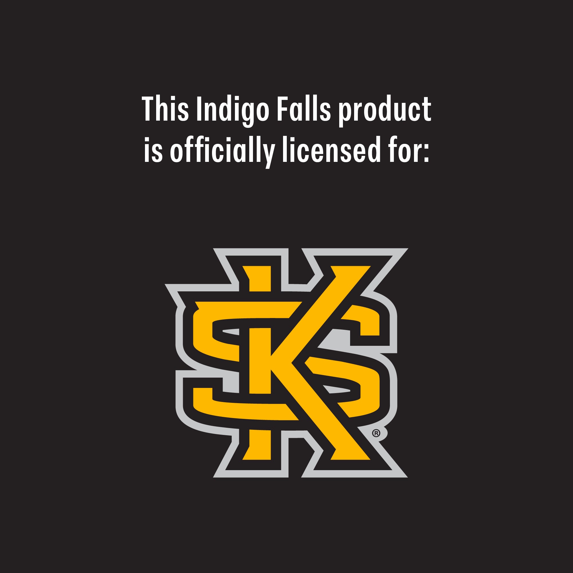 Kennesaw State Owls 24oz Campus Line Art Tumbler