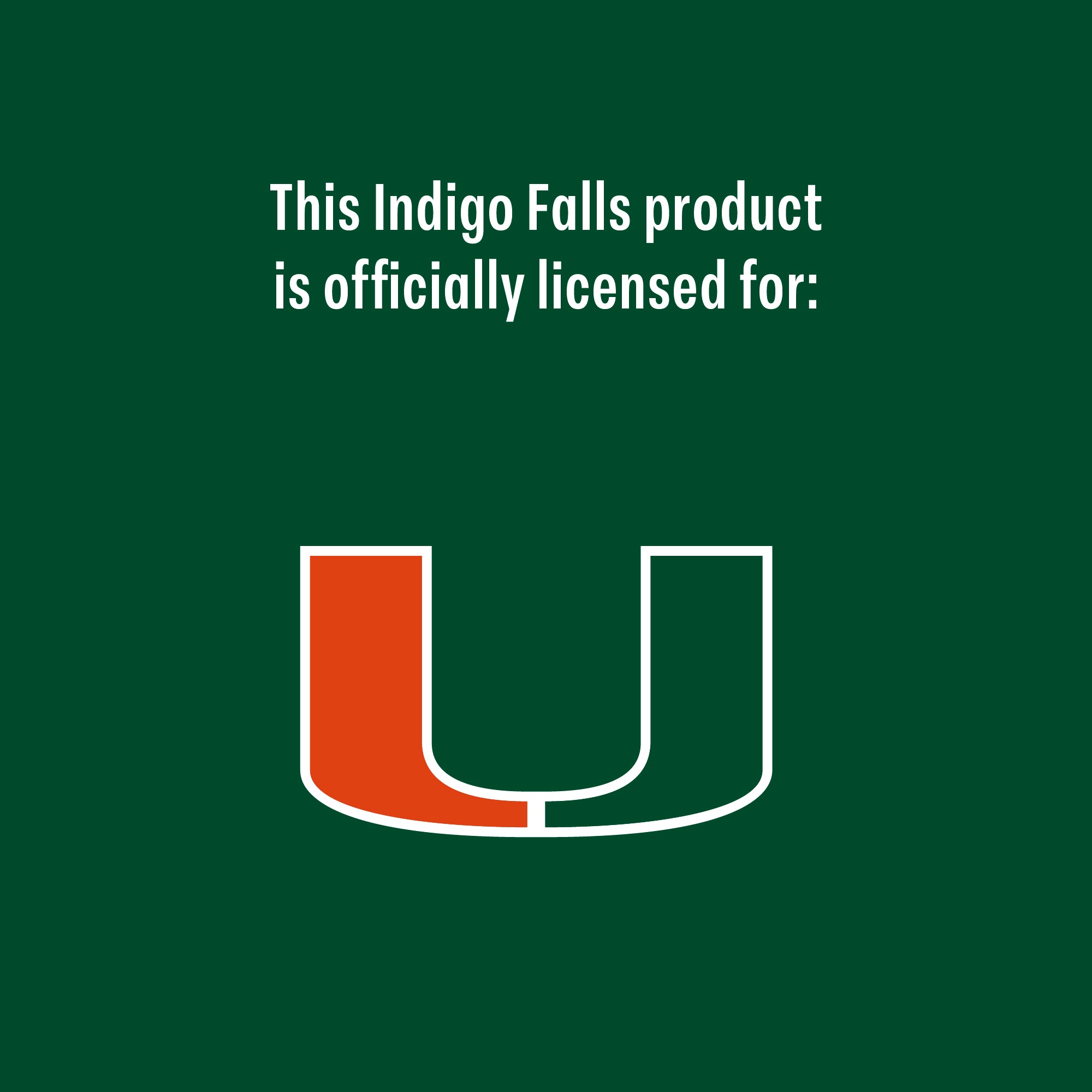 Set of 2 Miami Hurricanes College Vault Sketch 14oz Rocks Glasses