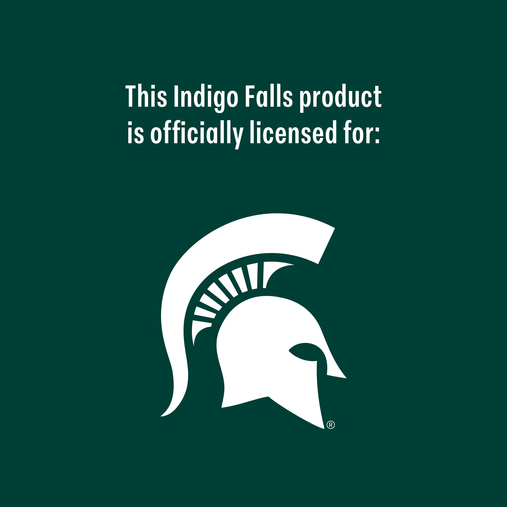 Set of 2 Michigan State Spartans College Vault Sketch 14oz Rocks Glasses