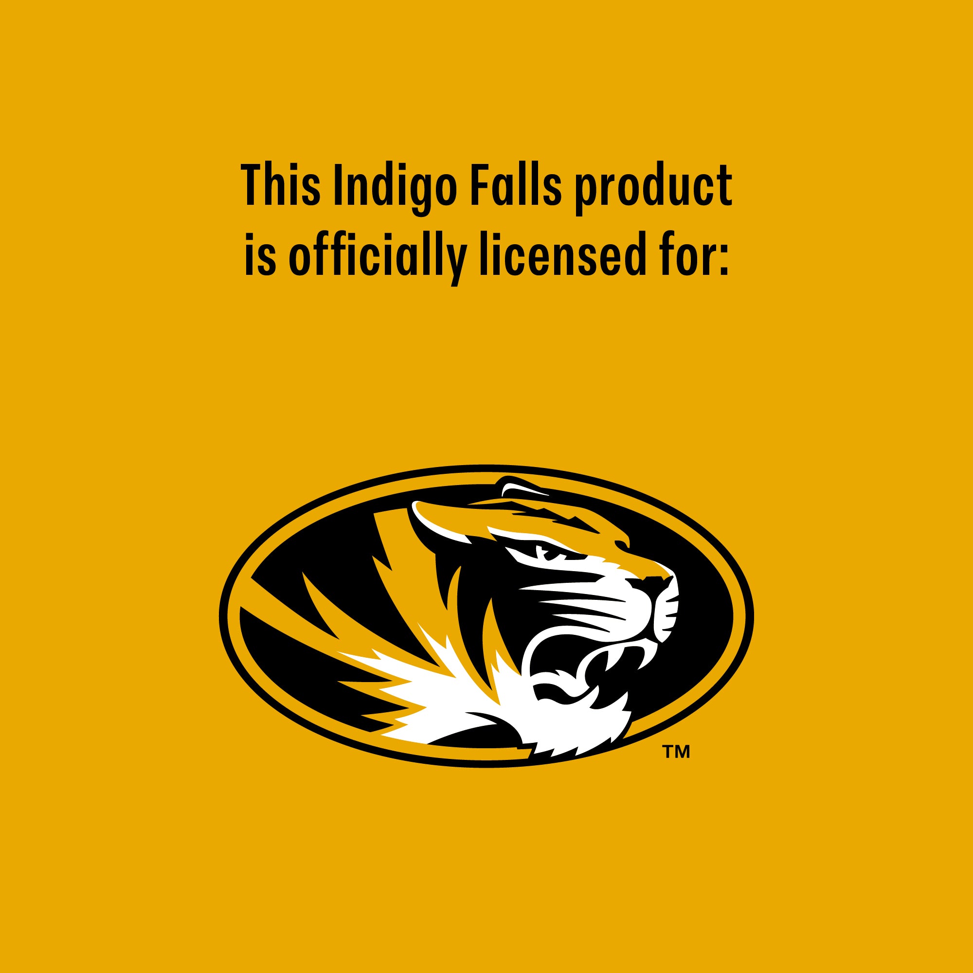 Set of 2 Missouri Tigers College Vault Sketch 14oz Rocks Glasses