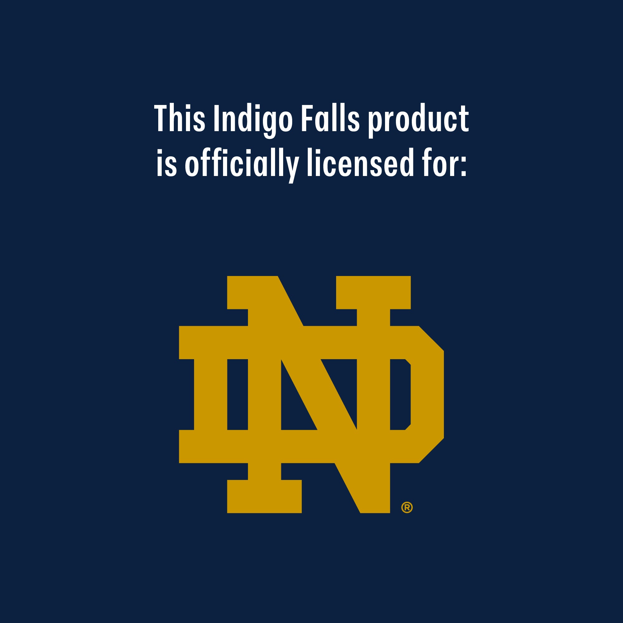 Set of 2 Notre Dame Fighting Irish 16oz OHT Flag Pint