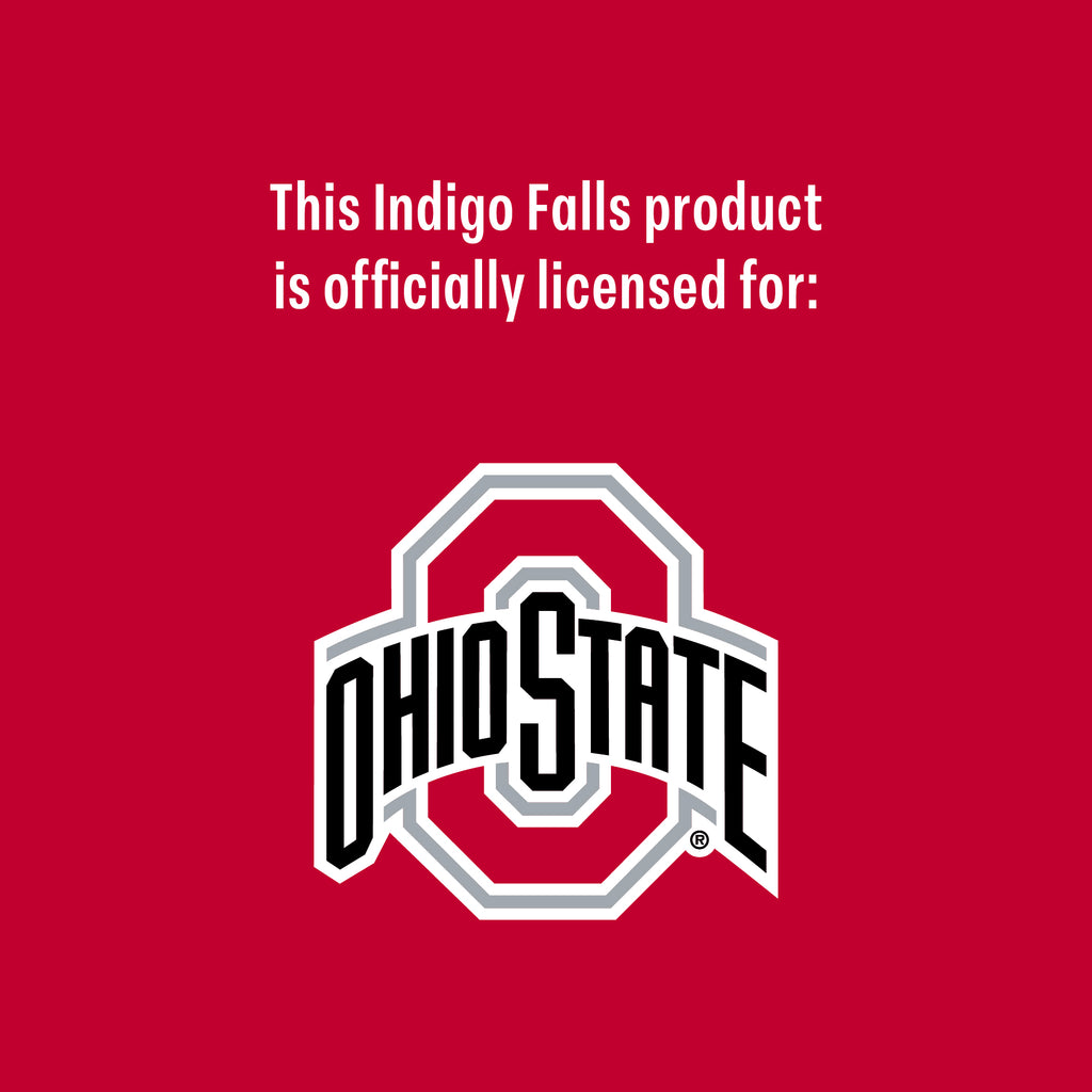 Set of 2 Ohio State Buckeyes 16oz Local Can Glasses