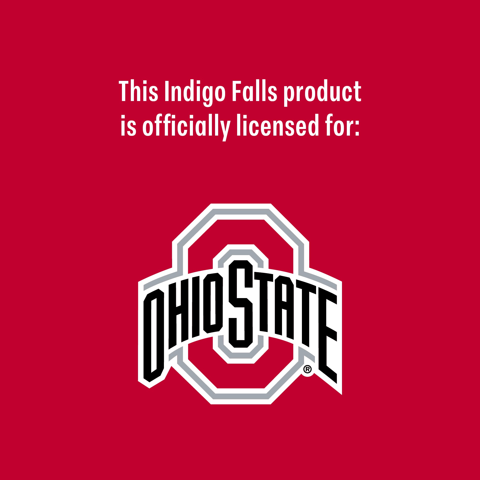 Set of 2 Ohio State Buckeyes 16oz Local Can Glasses