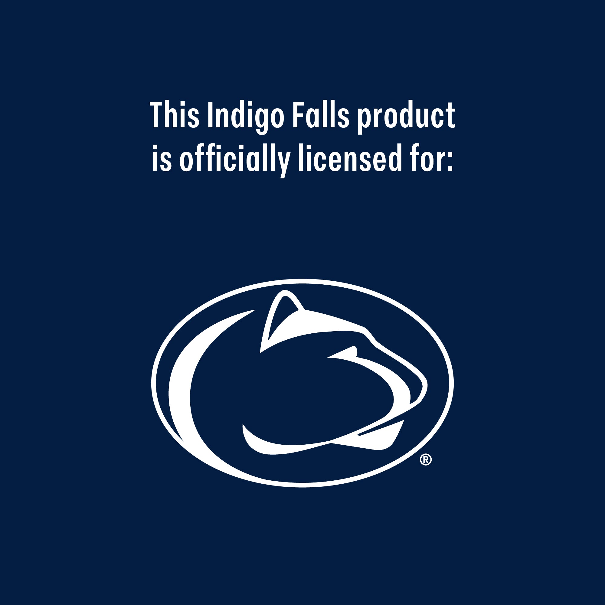 Set of 2 Penn State Nittany Lions College Vault Sketch 14oz Rocks Glasses