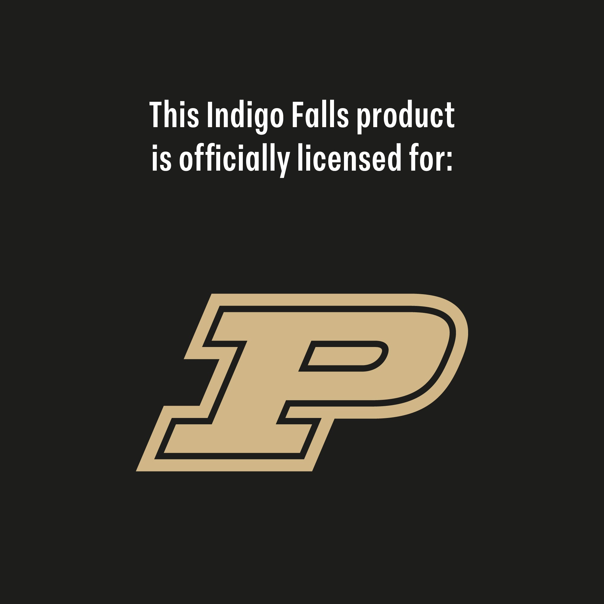 Set of 2 Purdue Boilermakers College Vault Sketch 14oz Rocks Glasses