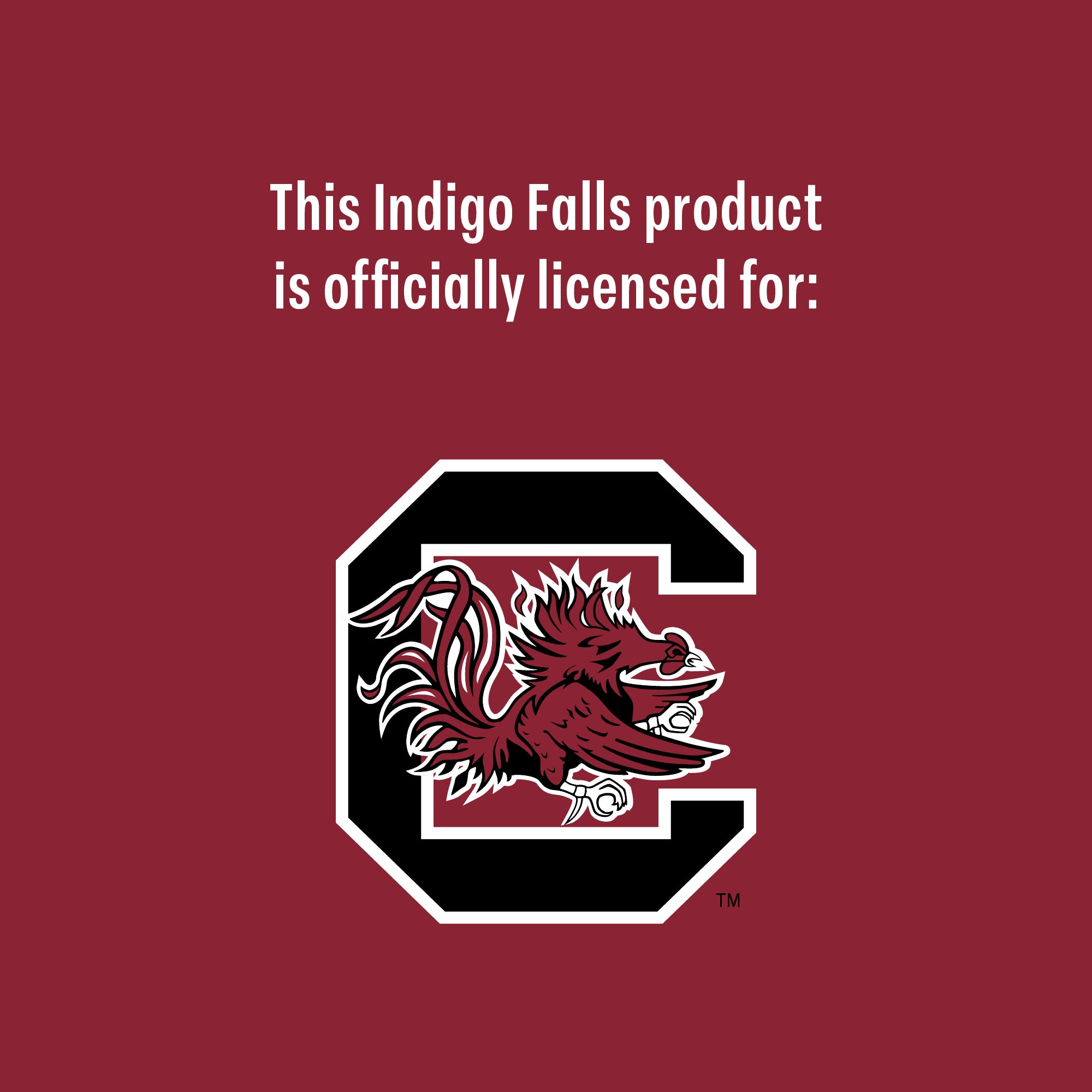 Set of 2 South Carolina Gamecocks College Vault Sketch 14oz Rocks Glasses