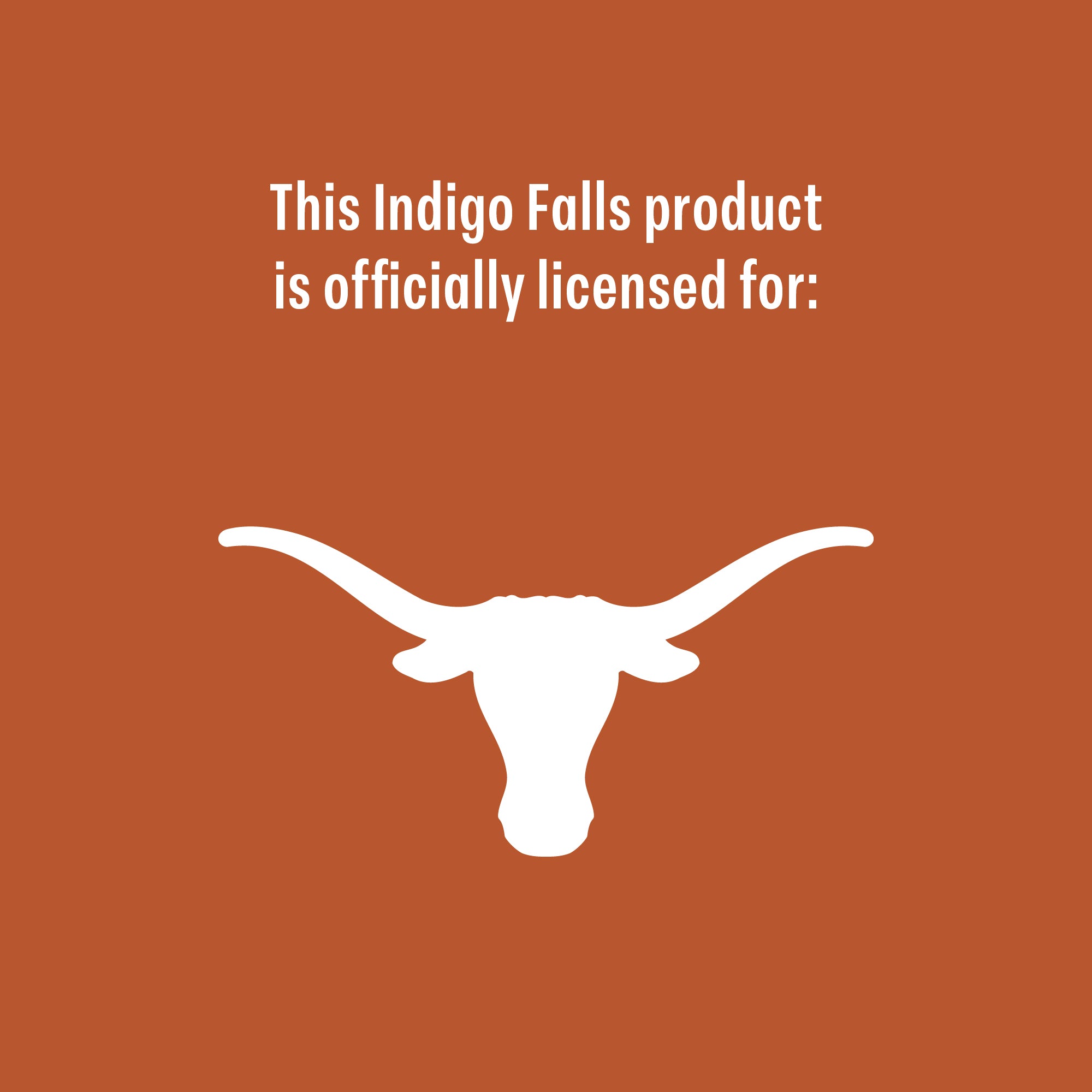 Set of 2 Texas Longhorns 14oz Local Rocks Glasses