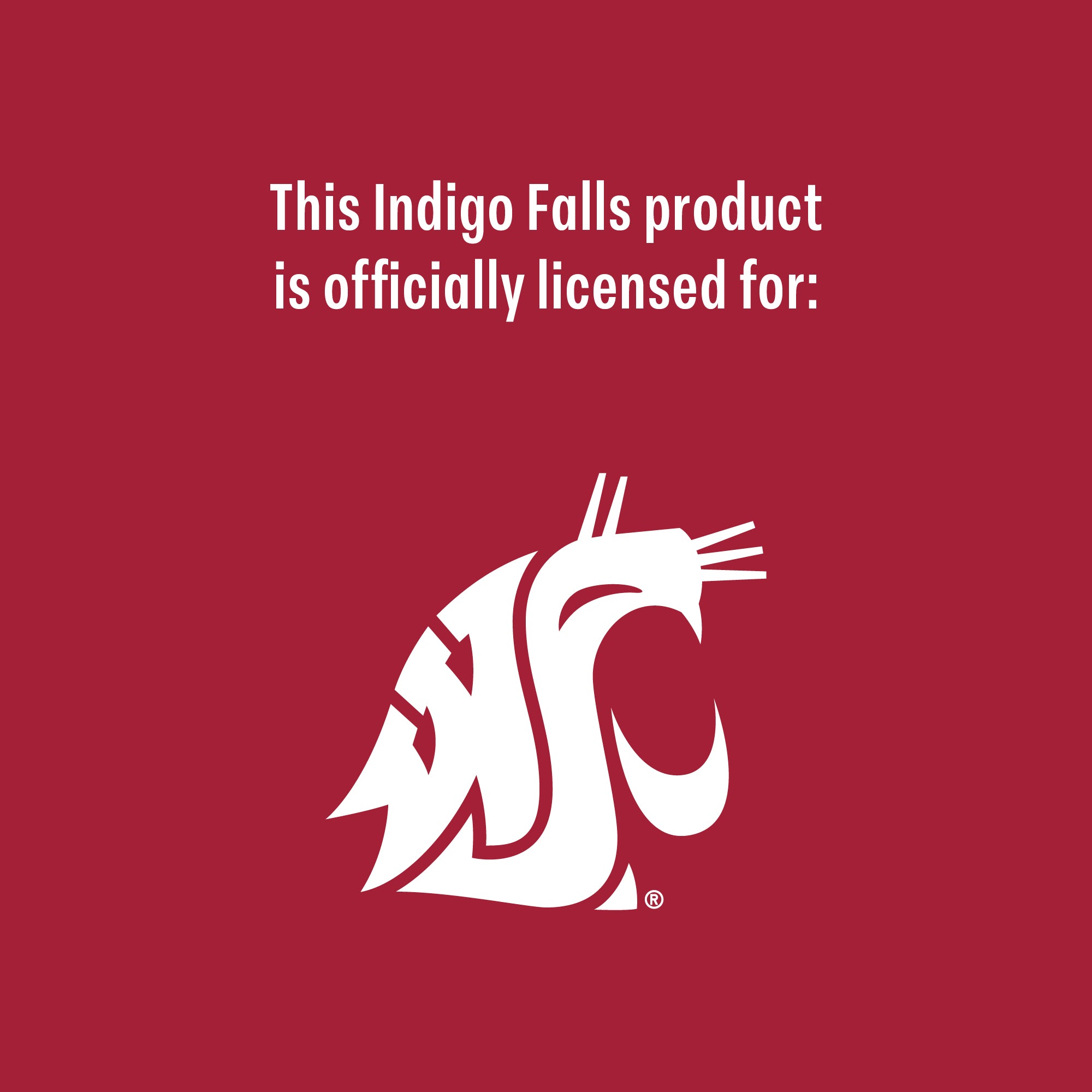 Set of 2 Washington State Cougars College Vault Sketch 14oz Rocks Glasses