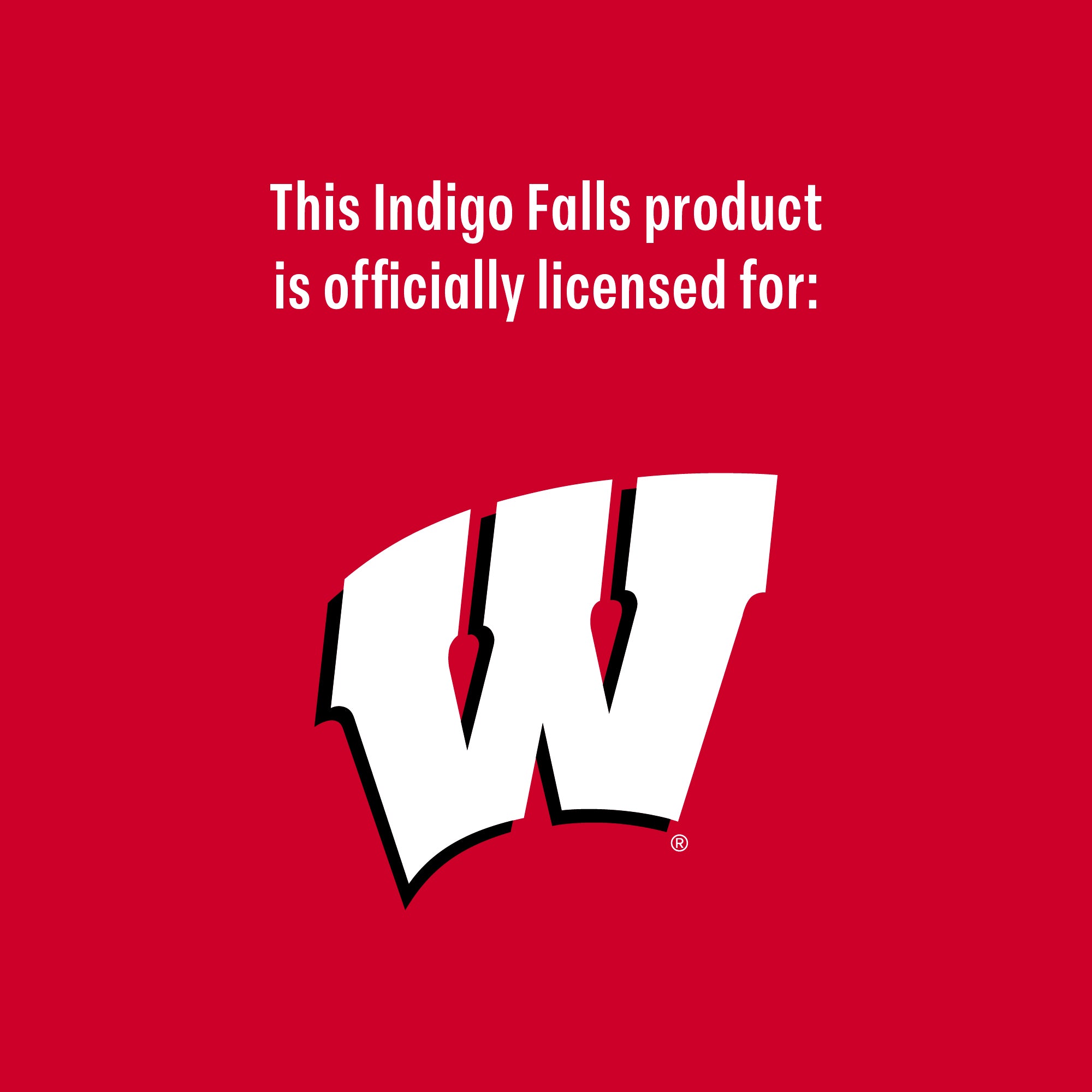 Set of 2 Wisconsin Badgers College Vault Sketch 14oz Rocks Glasses