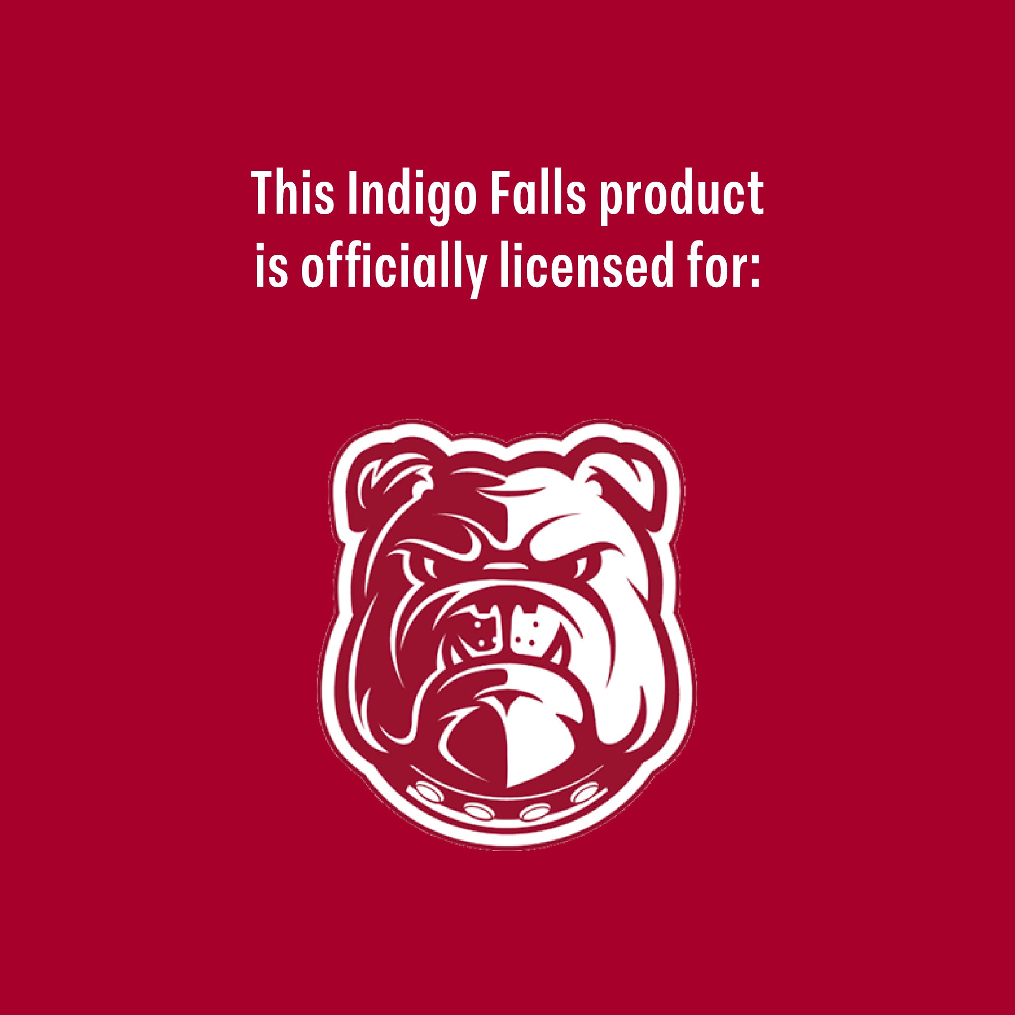 Set of 2 Alabama A&M Bulldogs 16oz BHM Pints