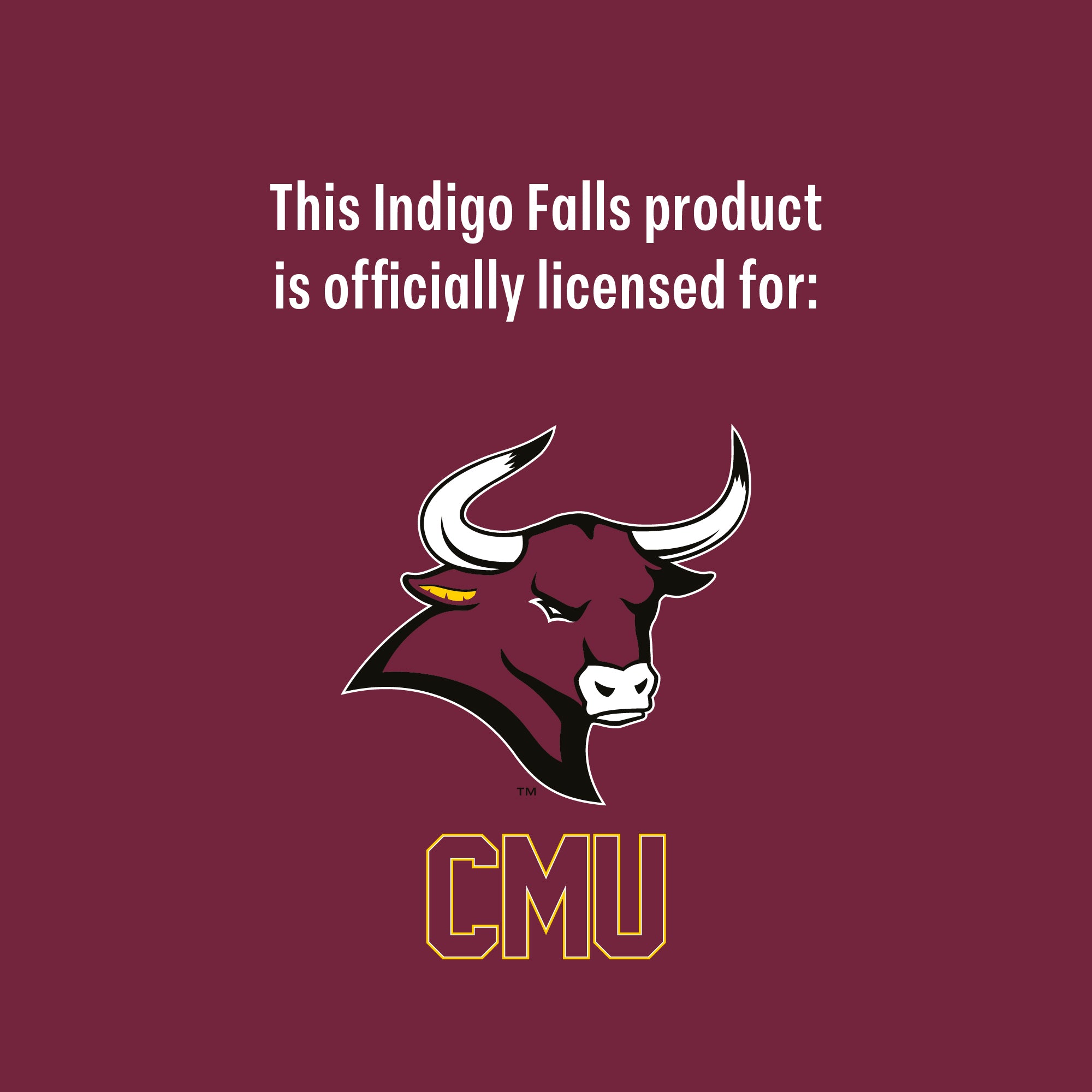 Set of 2 Colorado Mesa Mavericks 16oz Ring Pints