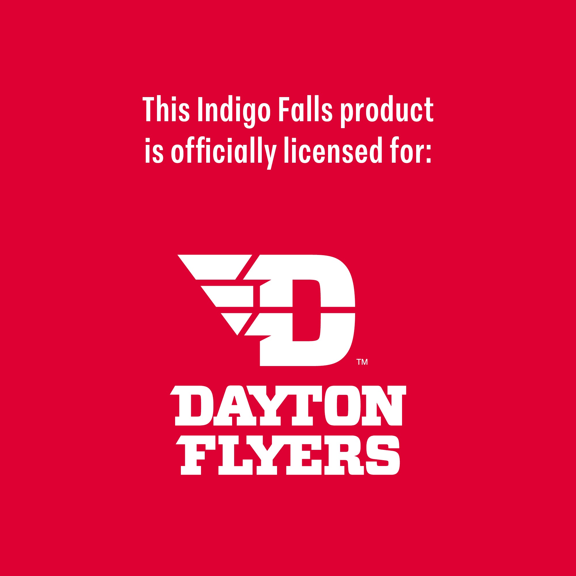 Set of 2 Dayton Flyers Alumni 15oz Stemless