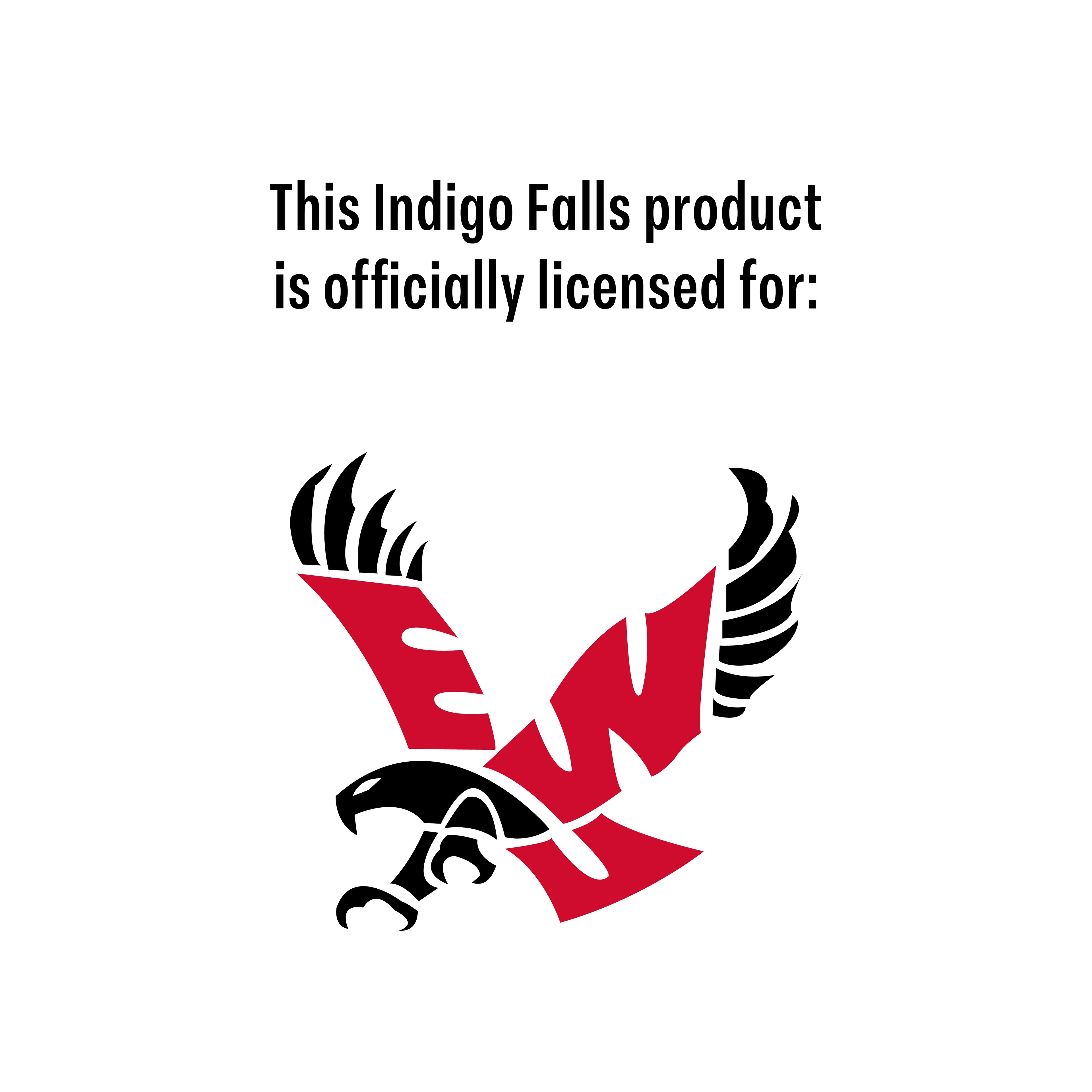 37qt Eastern Washington Eagles Cornhole Cooler