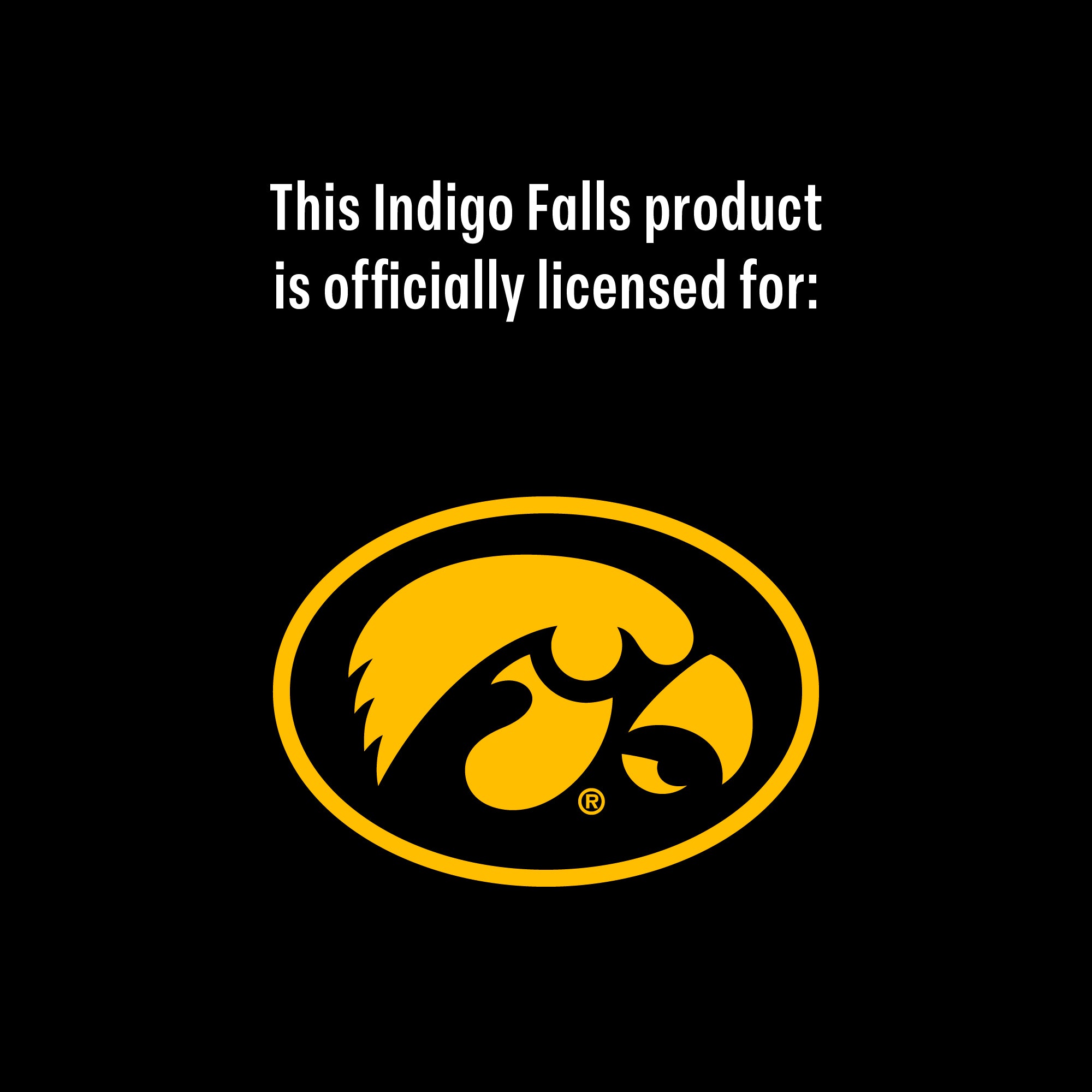 Iowa Hawkeyes 5-piece Decanter Set
